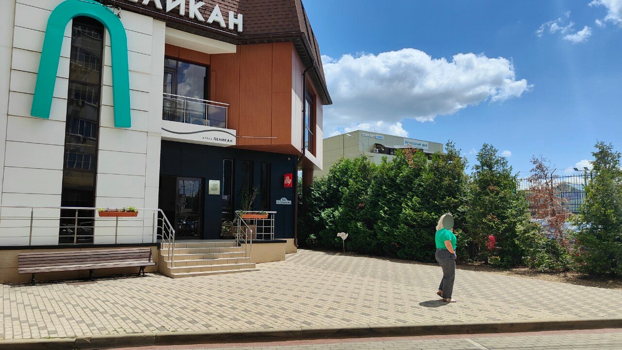 Фото Пеликан