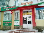 Apteka (Saransk, Polezhaeva Street, 120), pharmacy