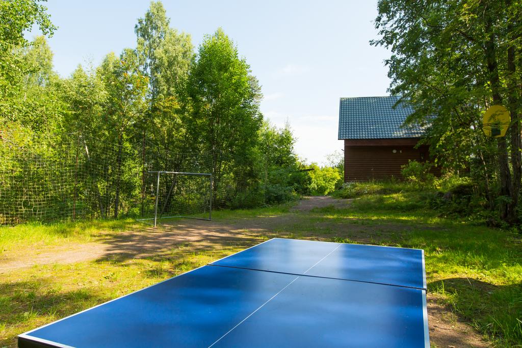 Фото Лесная сказка