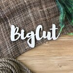 Bigcut (Revolyutsii Highway, 84Т), laser work