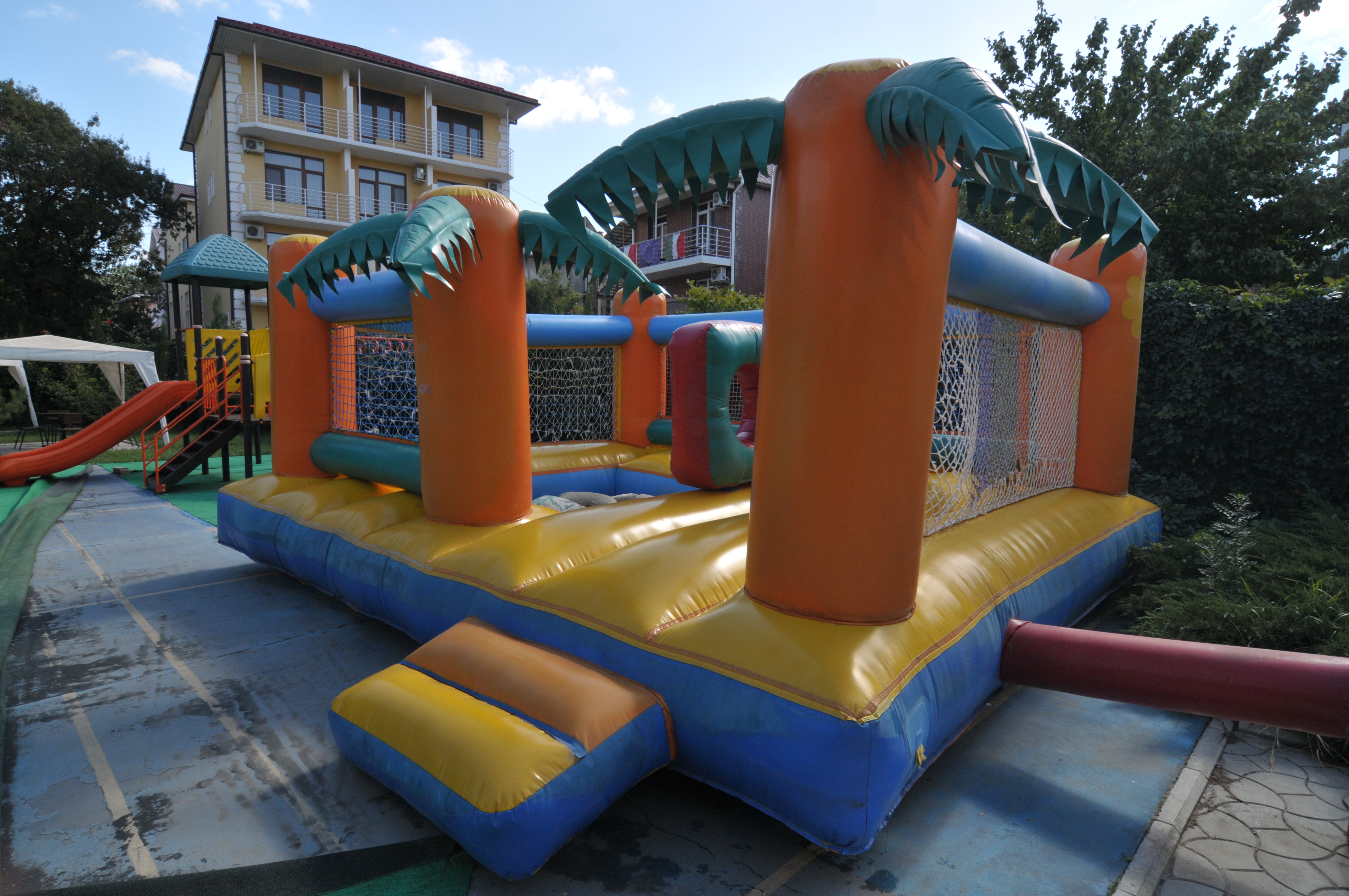 Фото Морской конек