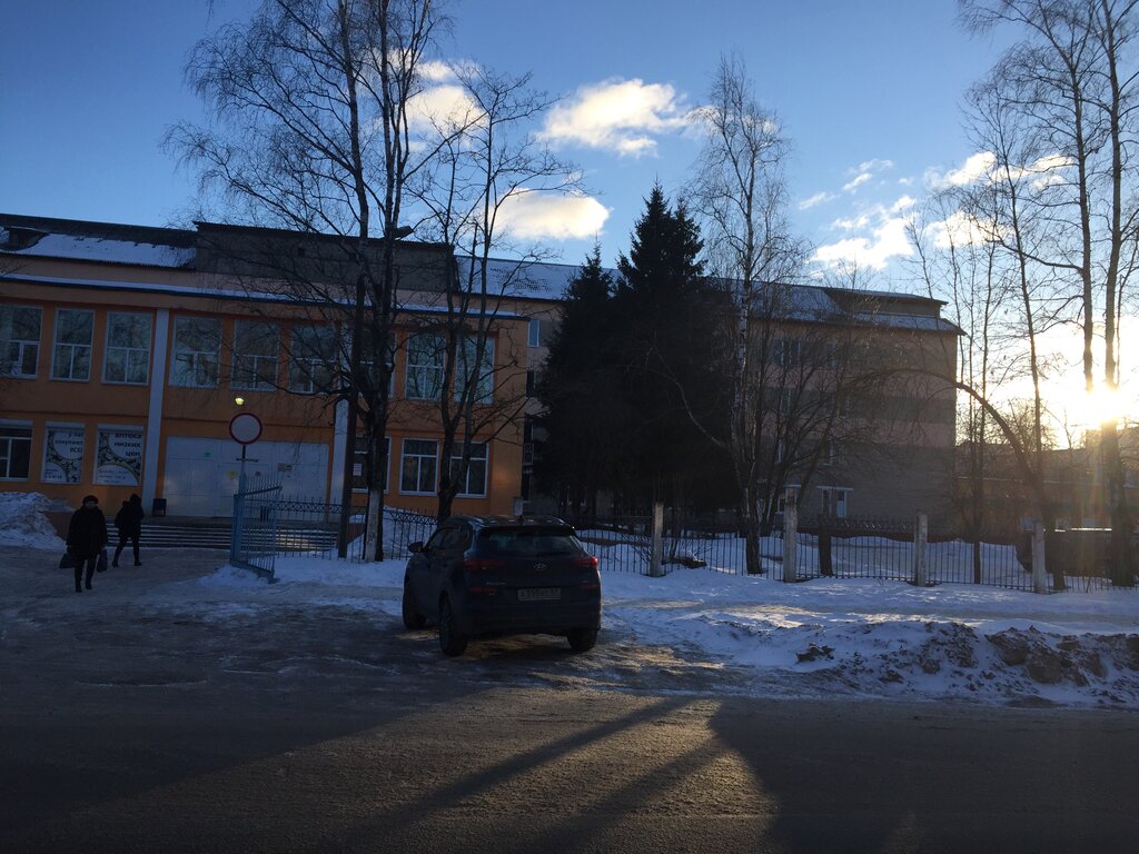 Polyclinic for adults Сафоновская центральная районная больница поликлиника, Safonovo, photo