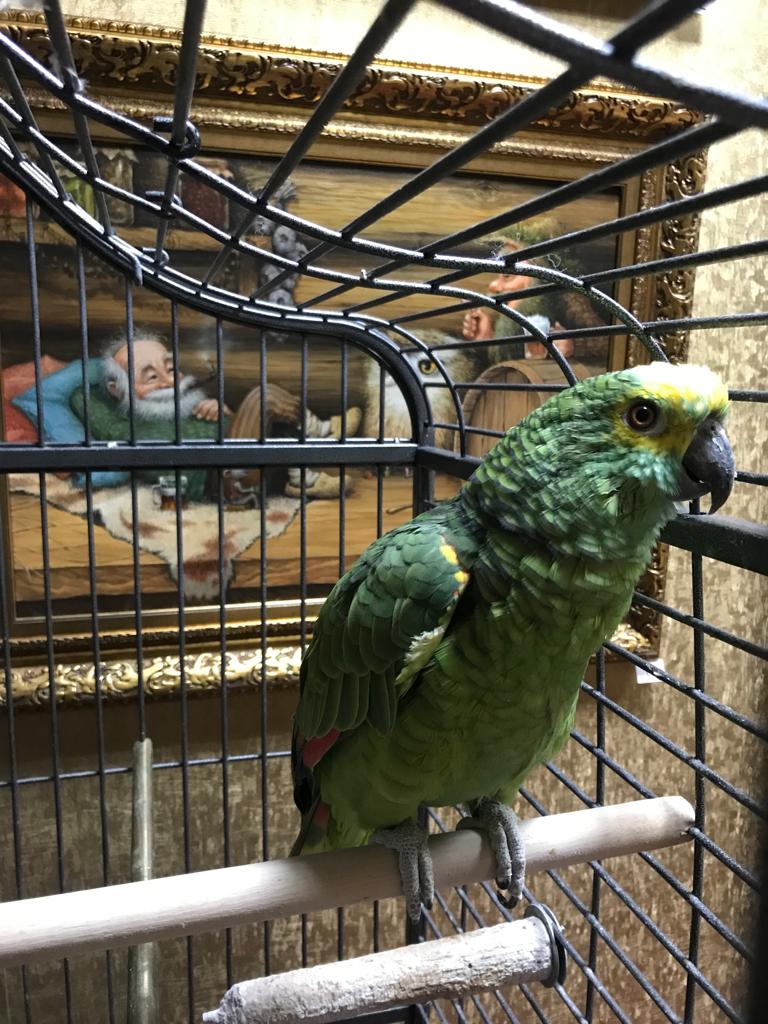 Фото Гармония