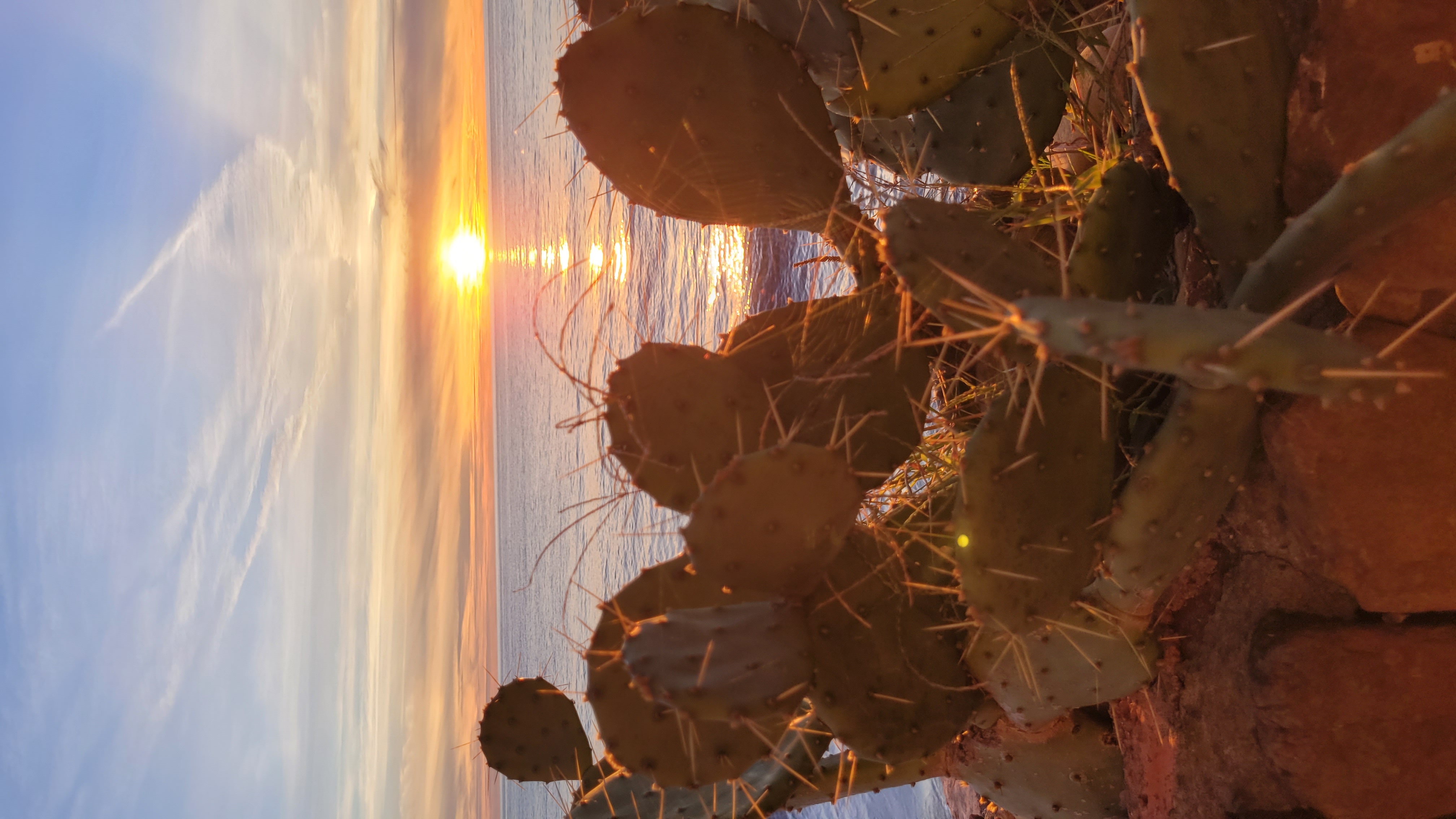 Фото Солнечный