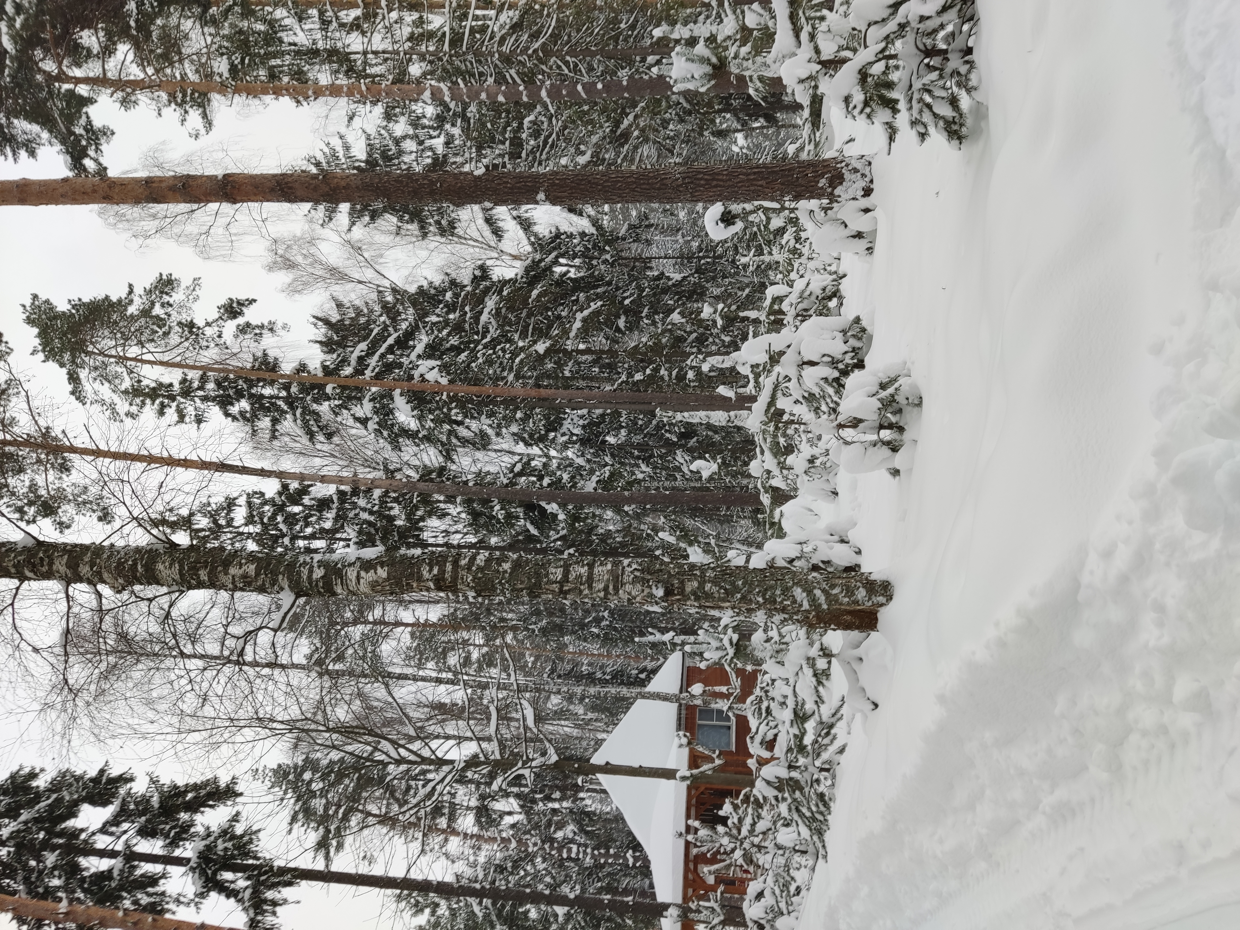 Фото Нептун-2