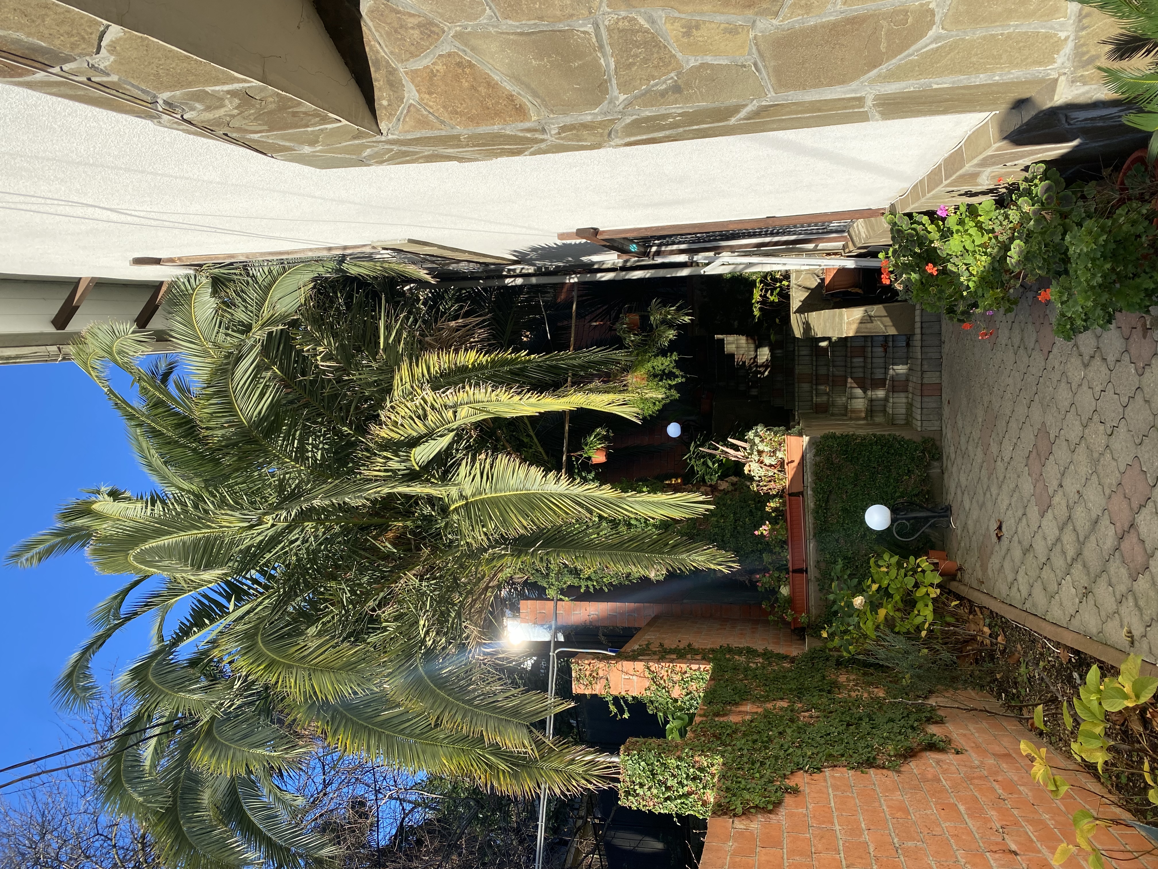 Фото Чайка Сочи