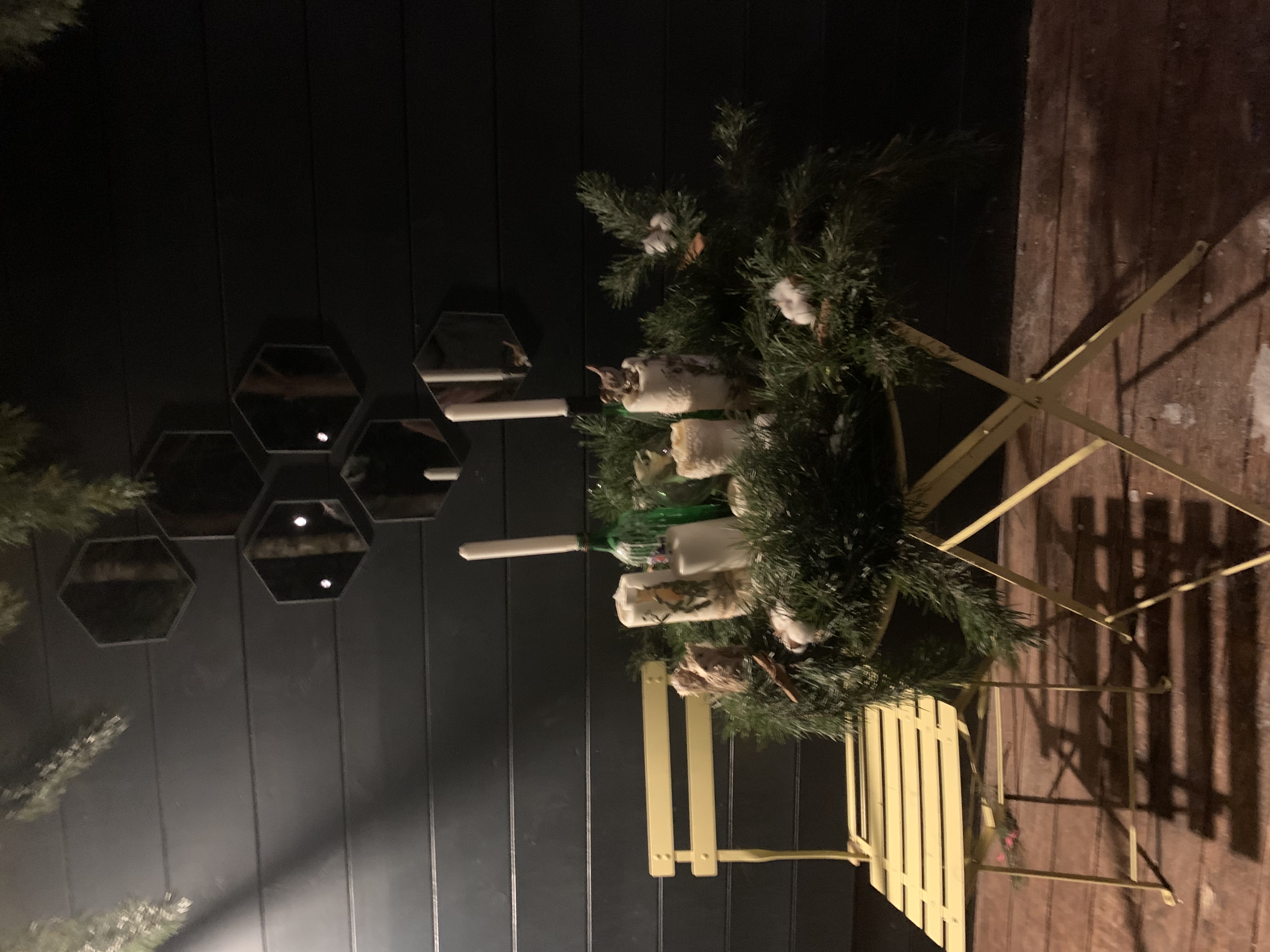 Фото TinyDacha можжевельник