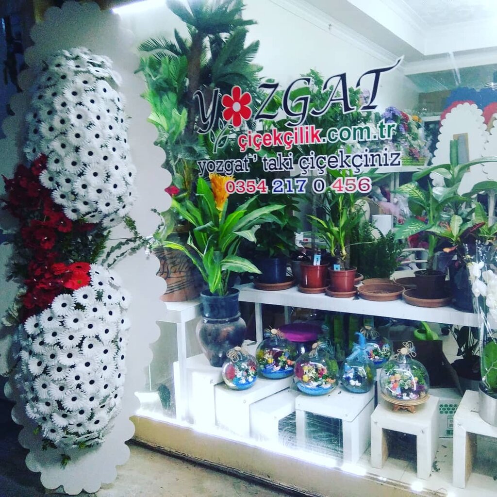 Flower shop Yozgat cicekcilik, Yozgat, photo