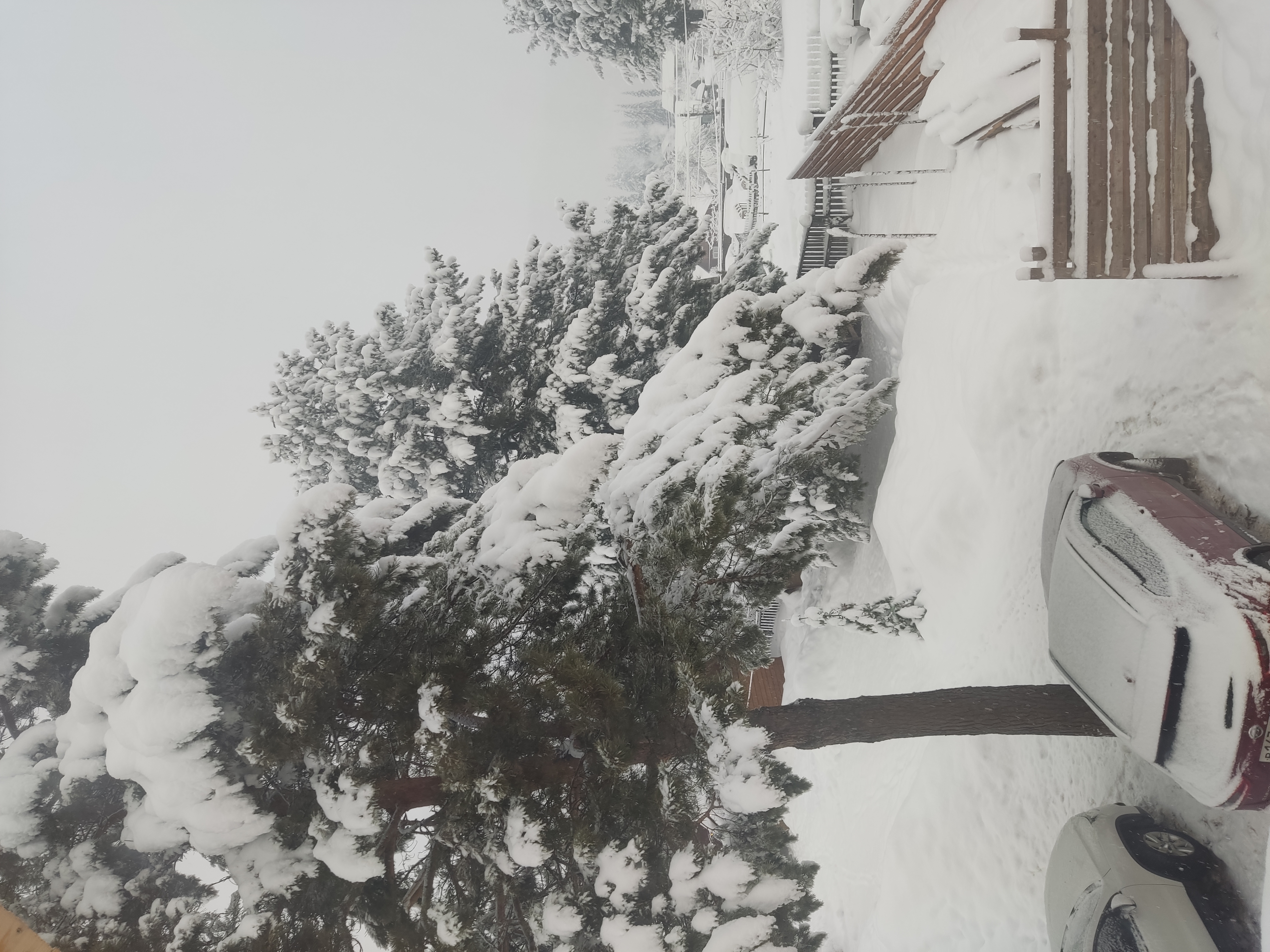 Фото Усадьба у Костра