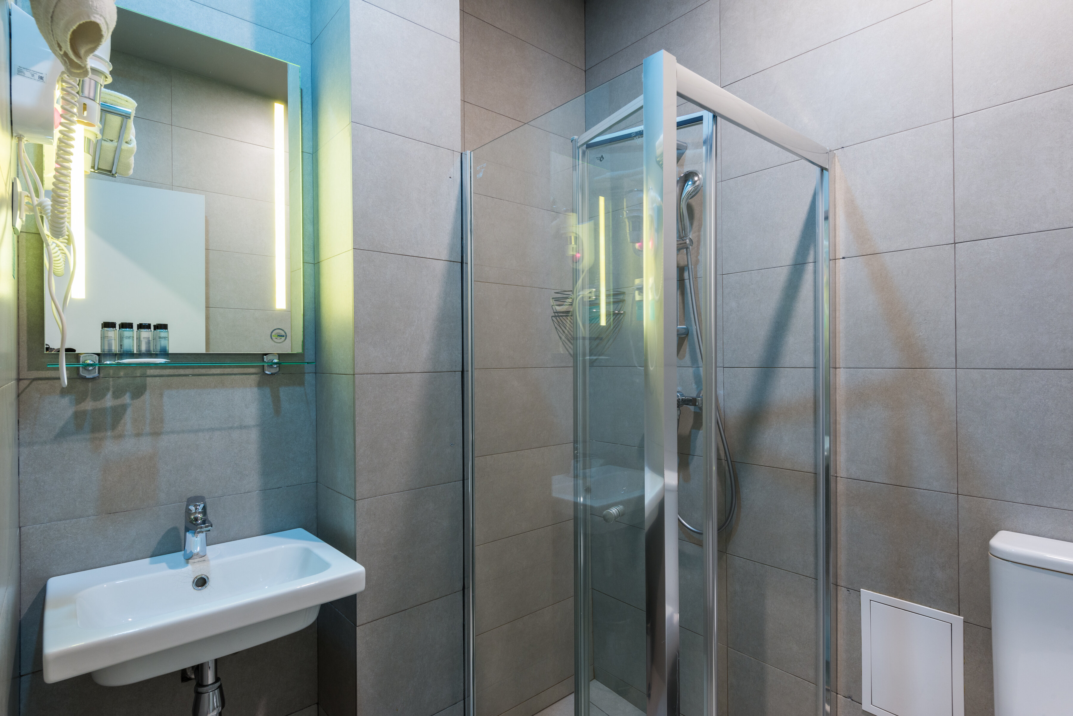 Фото Веллион Павелецкий