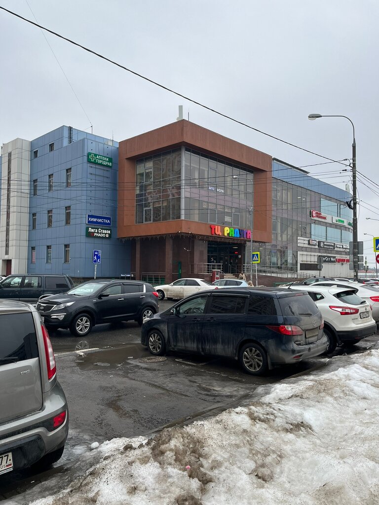 Interior goods Dekora, Moskovsky, photo