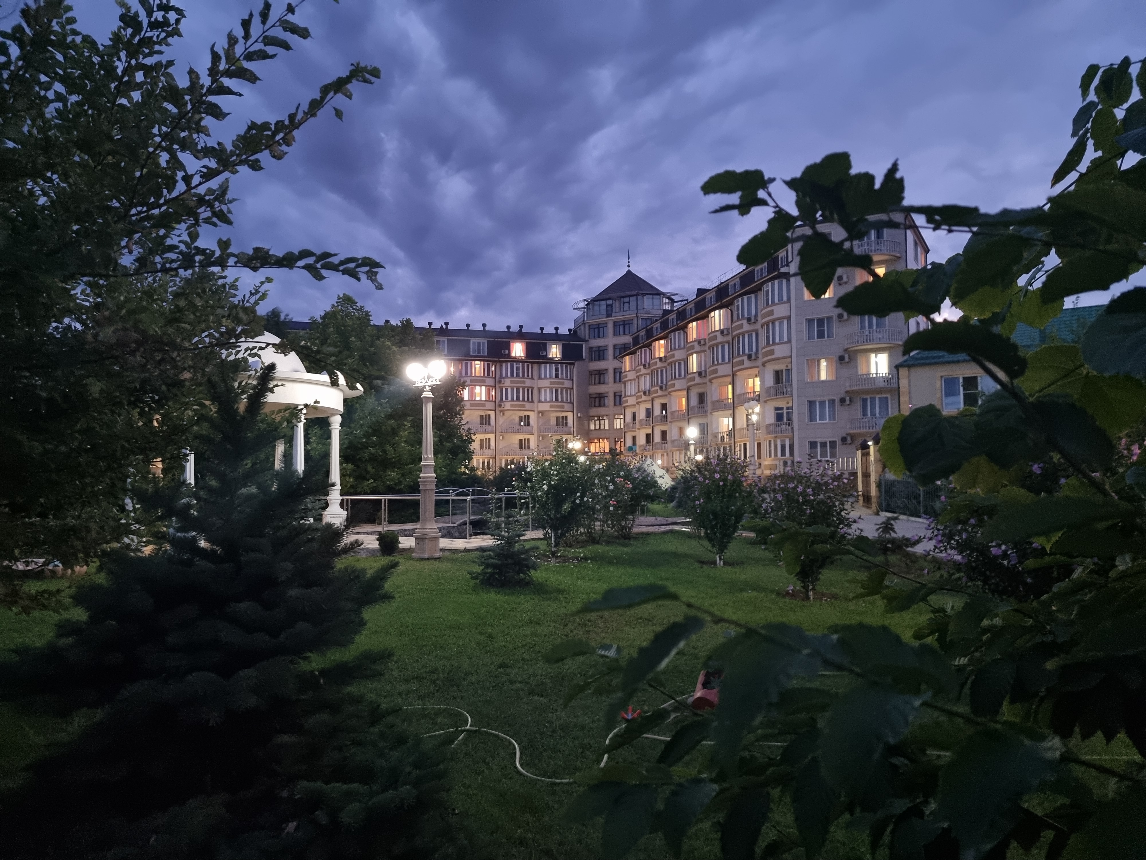 Фото Журавли