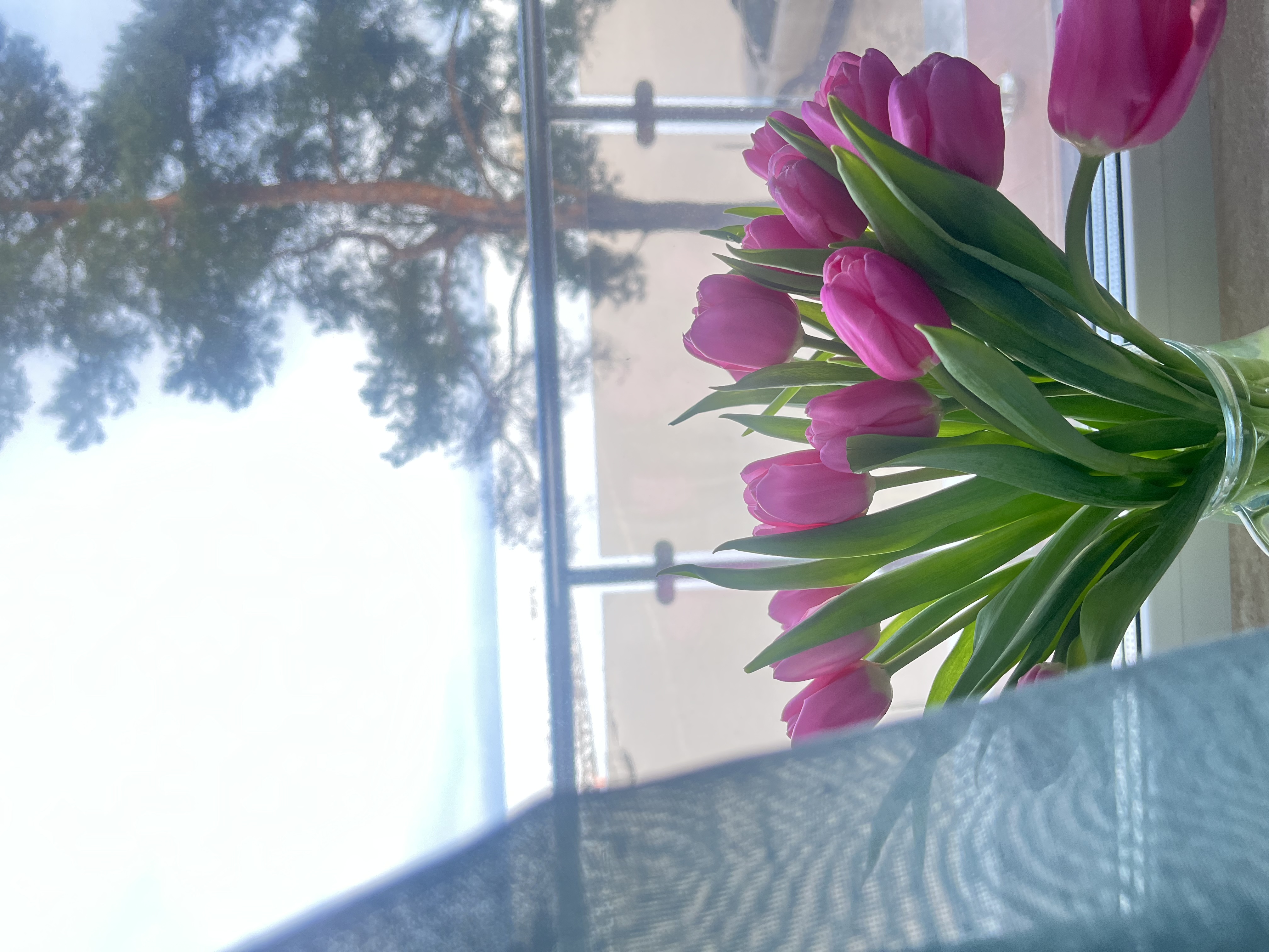 Фото Озерная