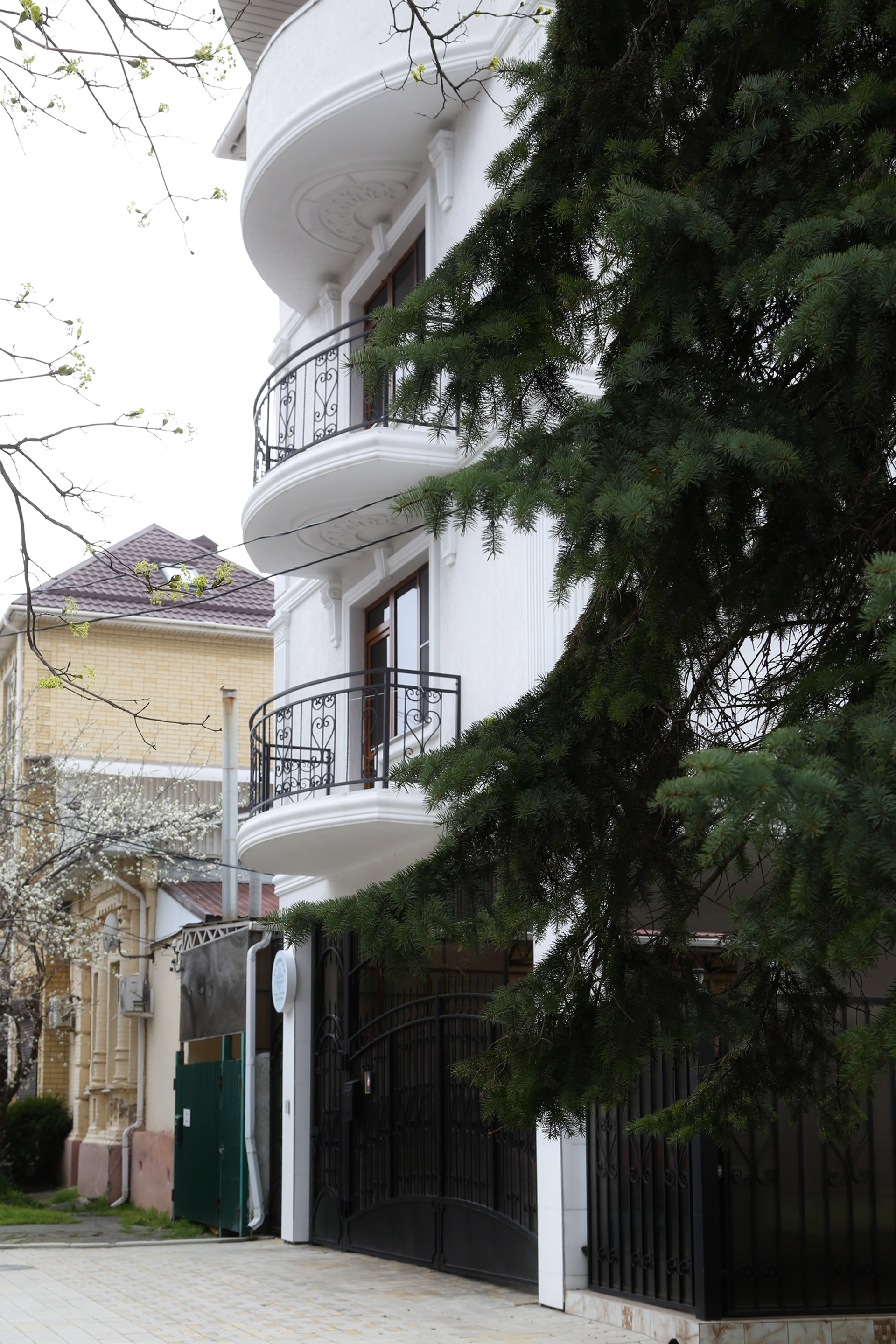 Фото Комплимент