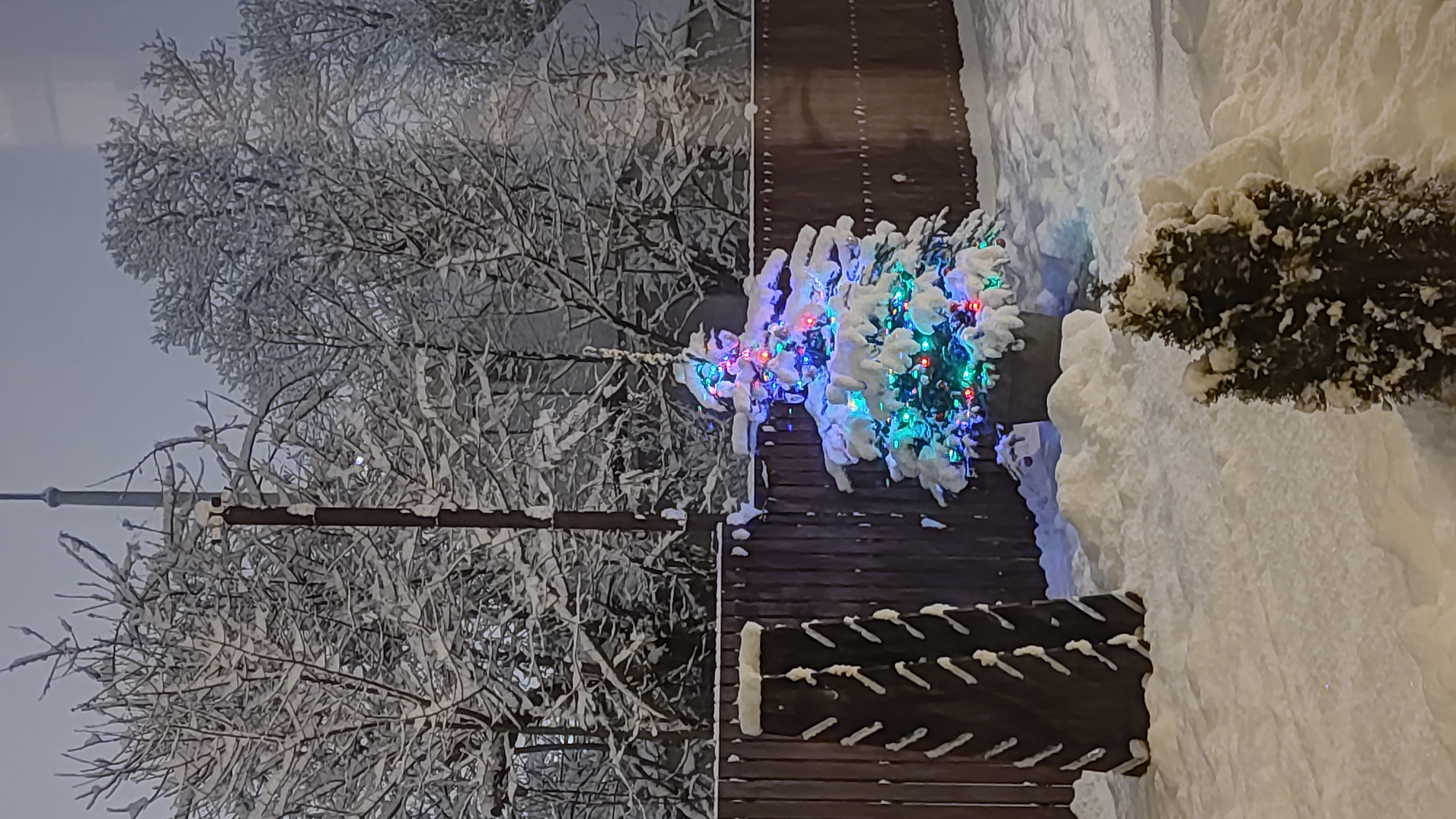 Фото Шале Тихое место