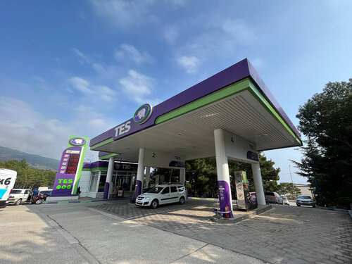 Gas station Tes, Republic of Crimea, photo