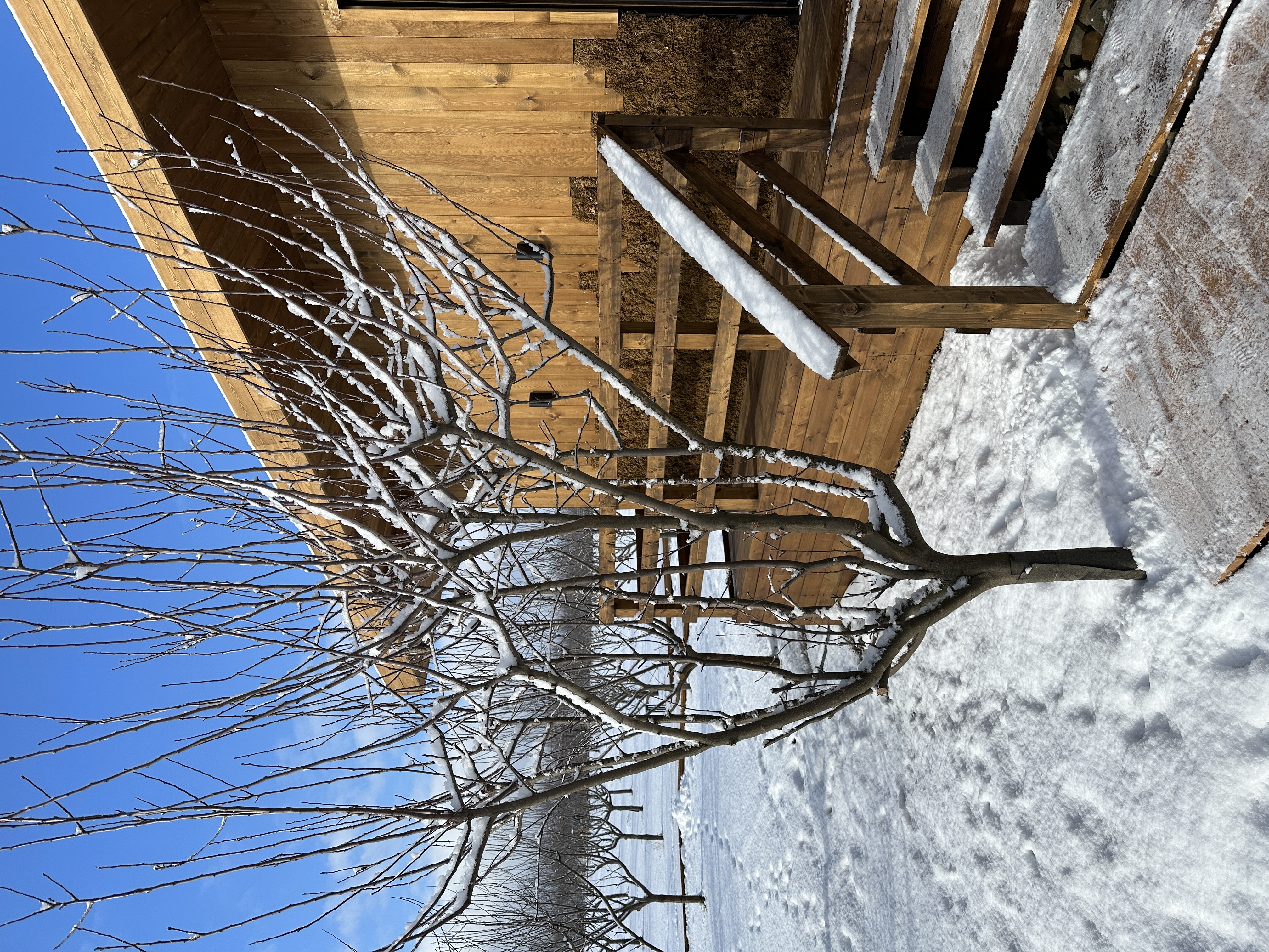 Фото Apparadise&SPA