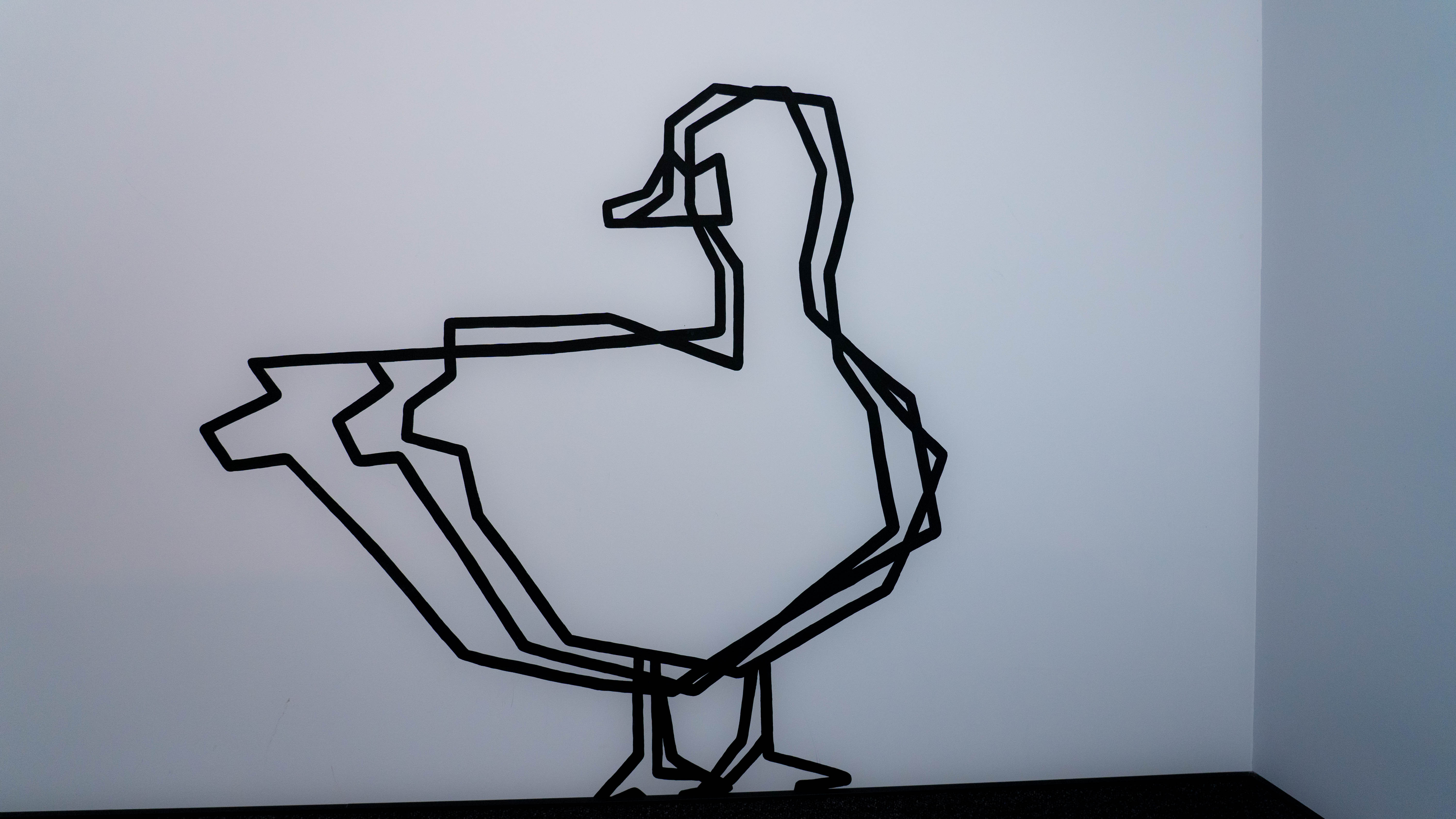 Фото Формула Коми