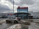Туалет (Signalny Drive, 17), toilet
