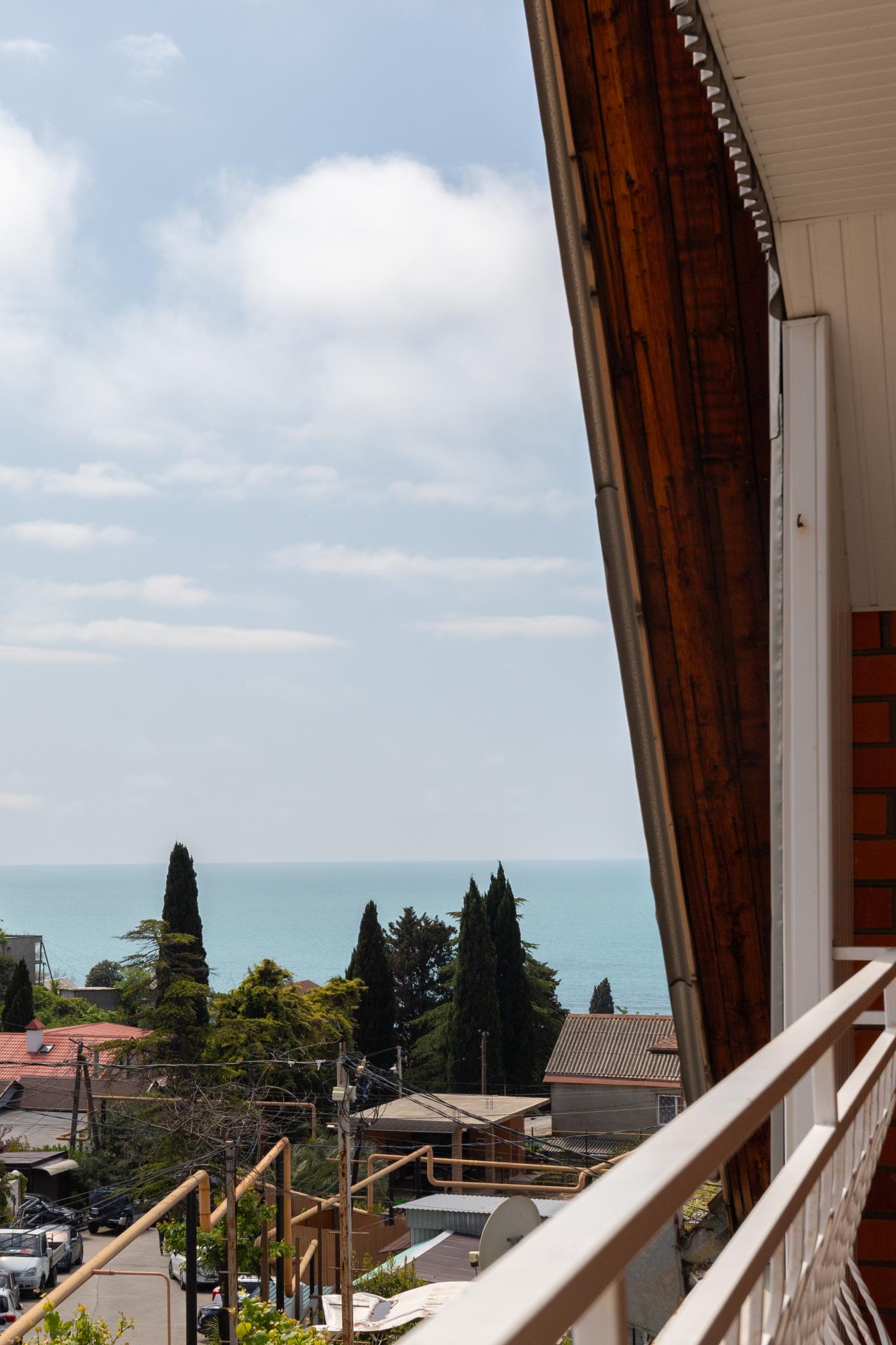 Фото Селена