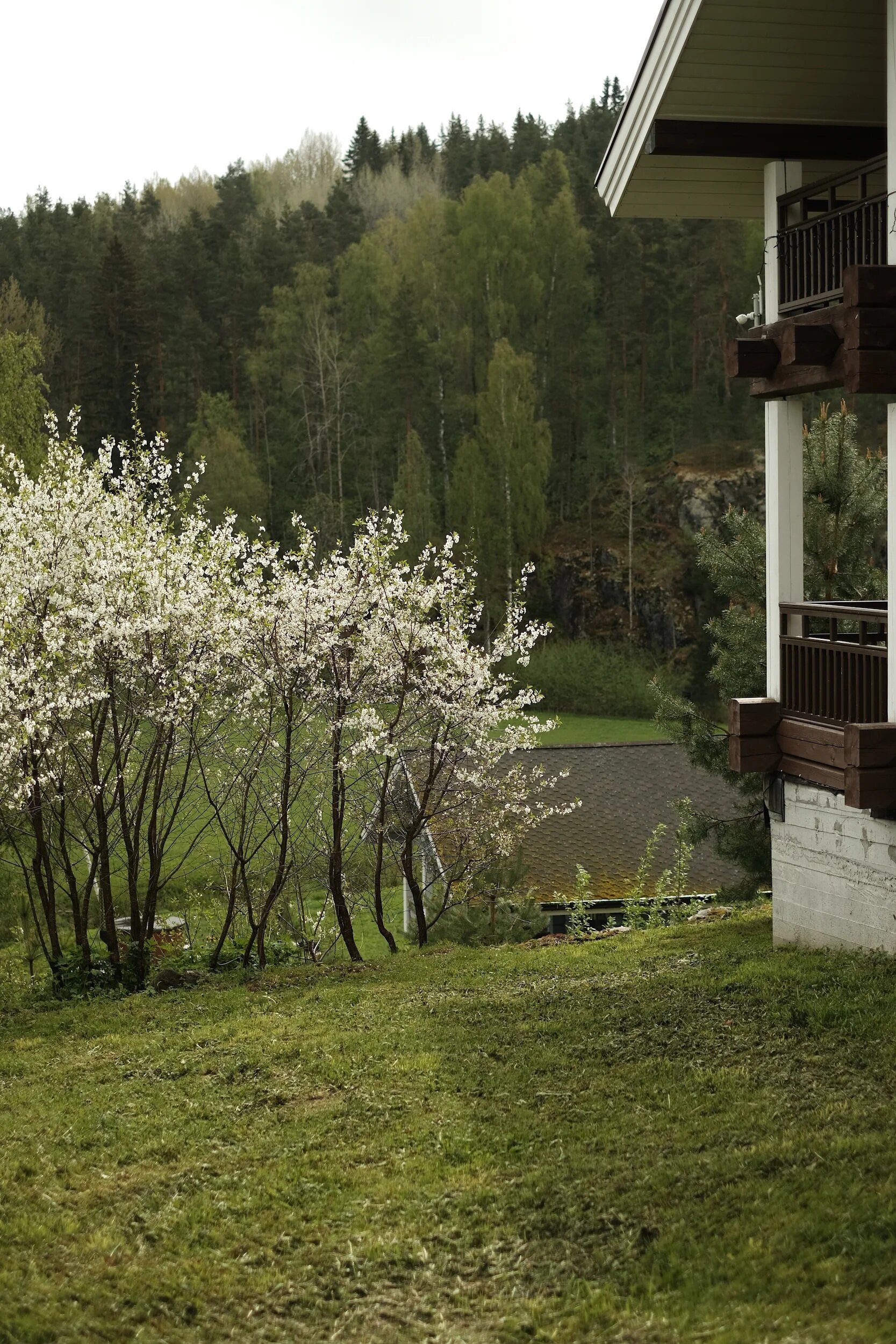 Фото Forrest Lodge Karelia