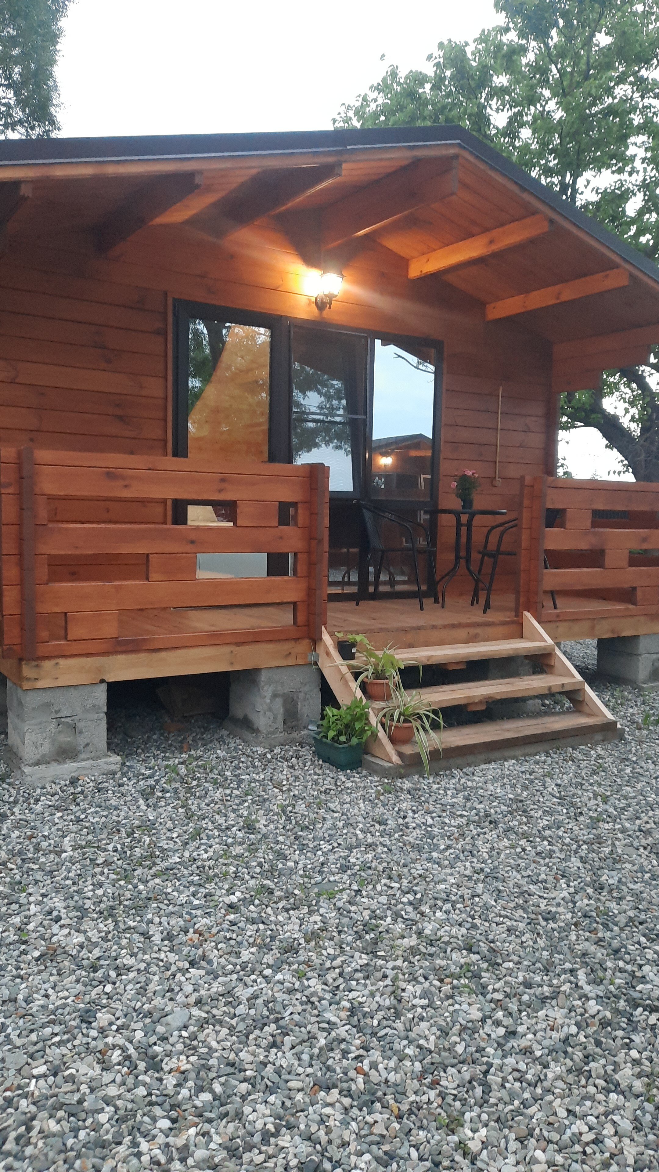 Фото Эко Магнолия