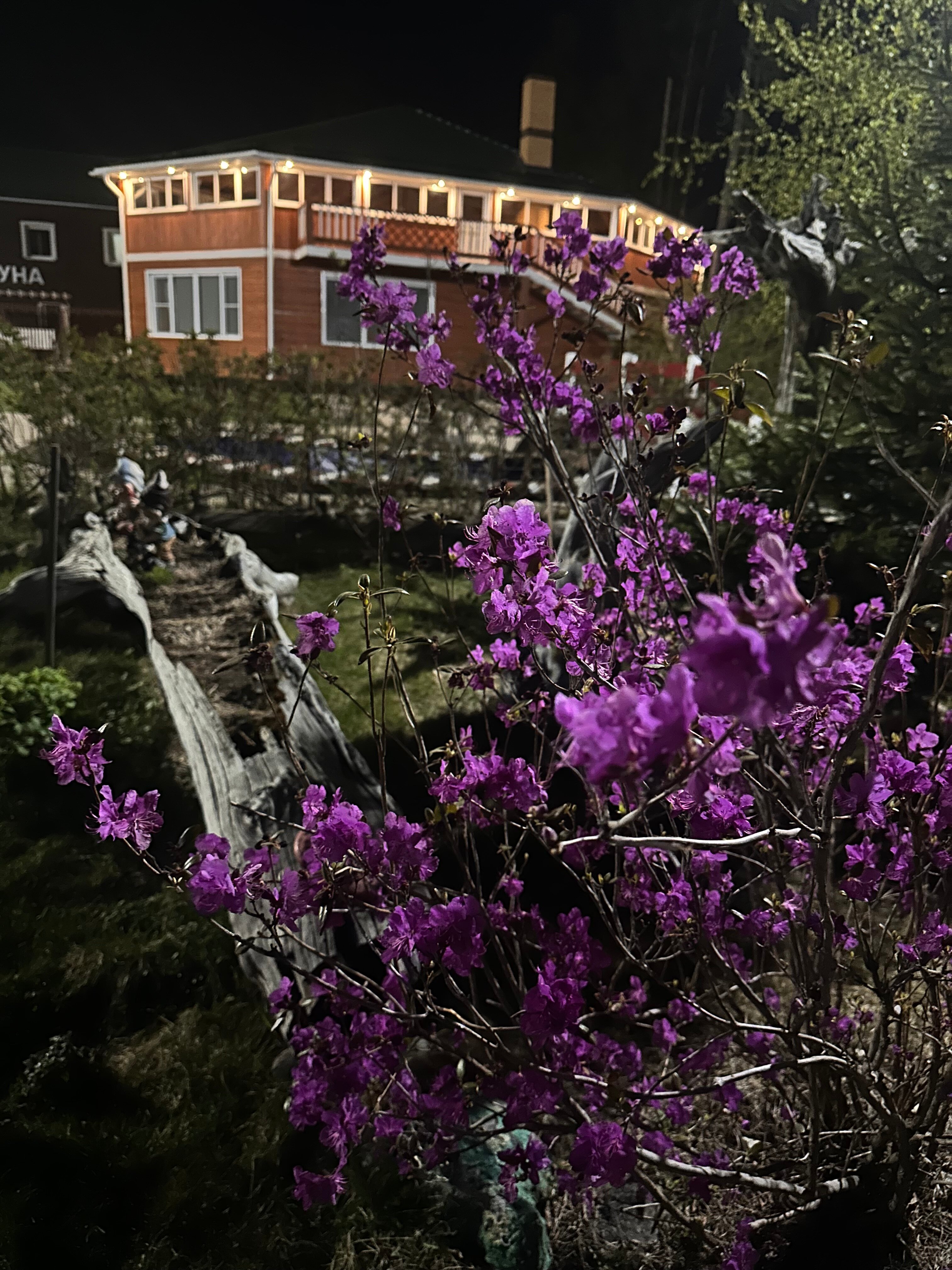 Фото Кумуткан