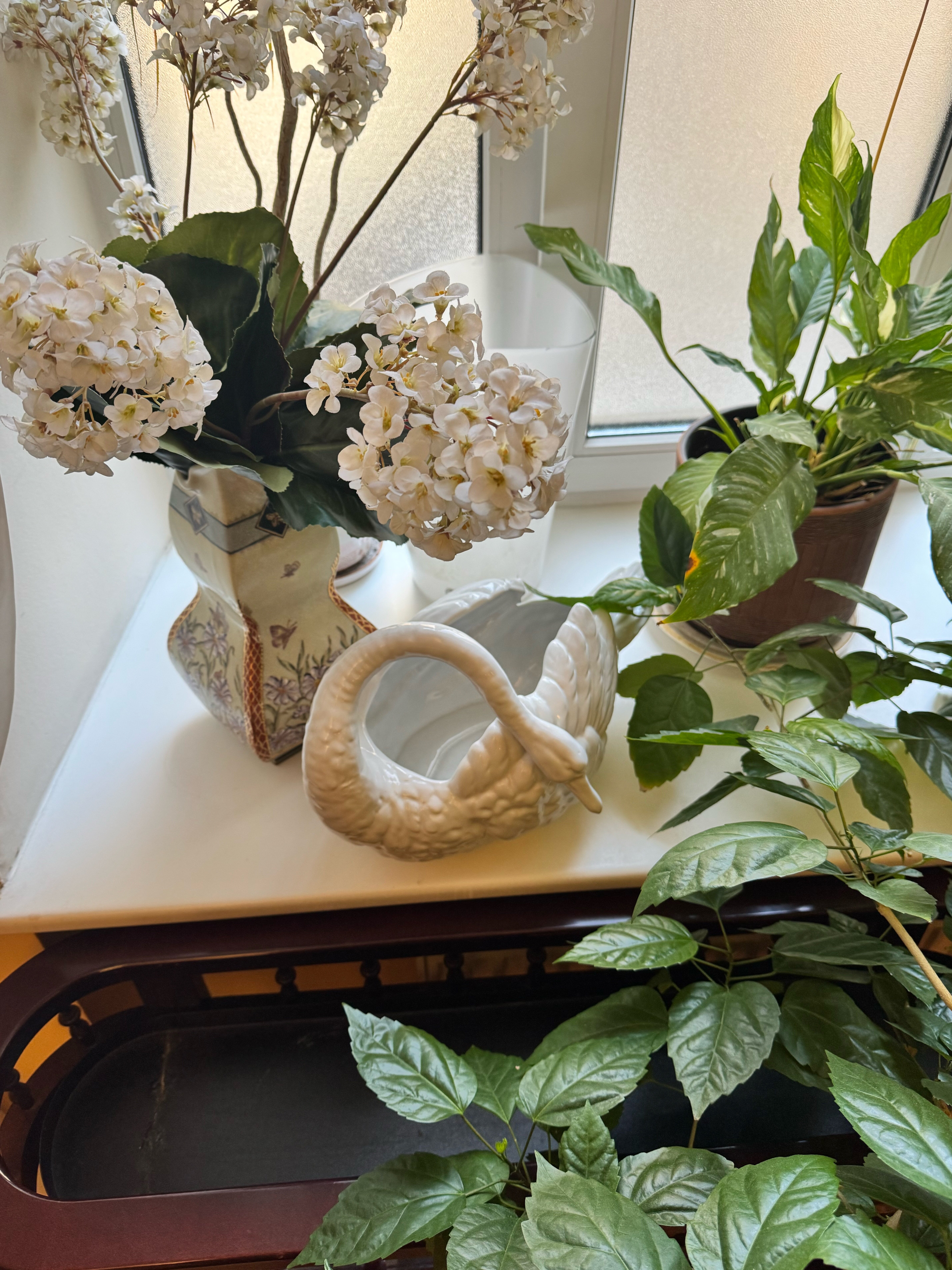 Фото Шелфорт