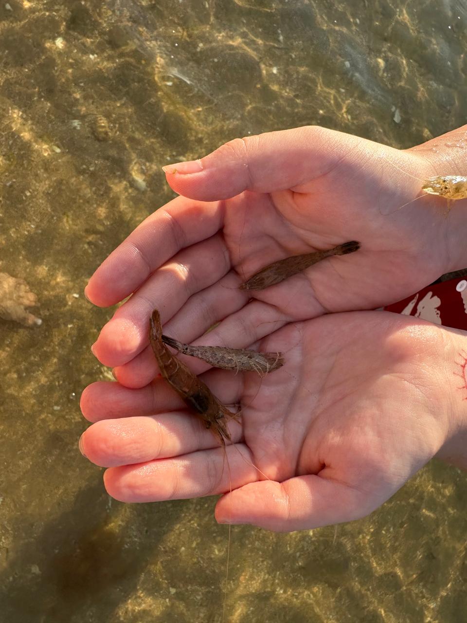 Фото Анна Крым