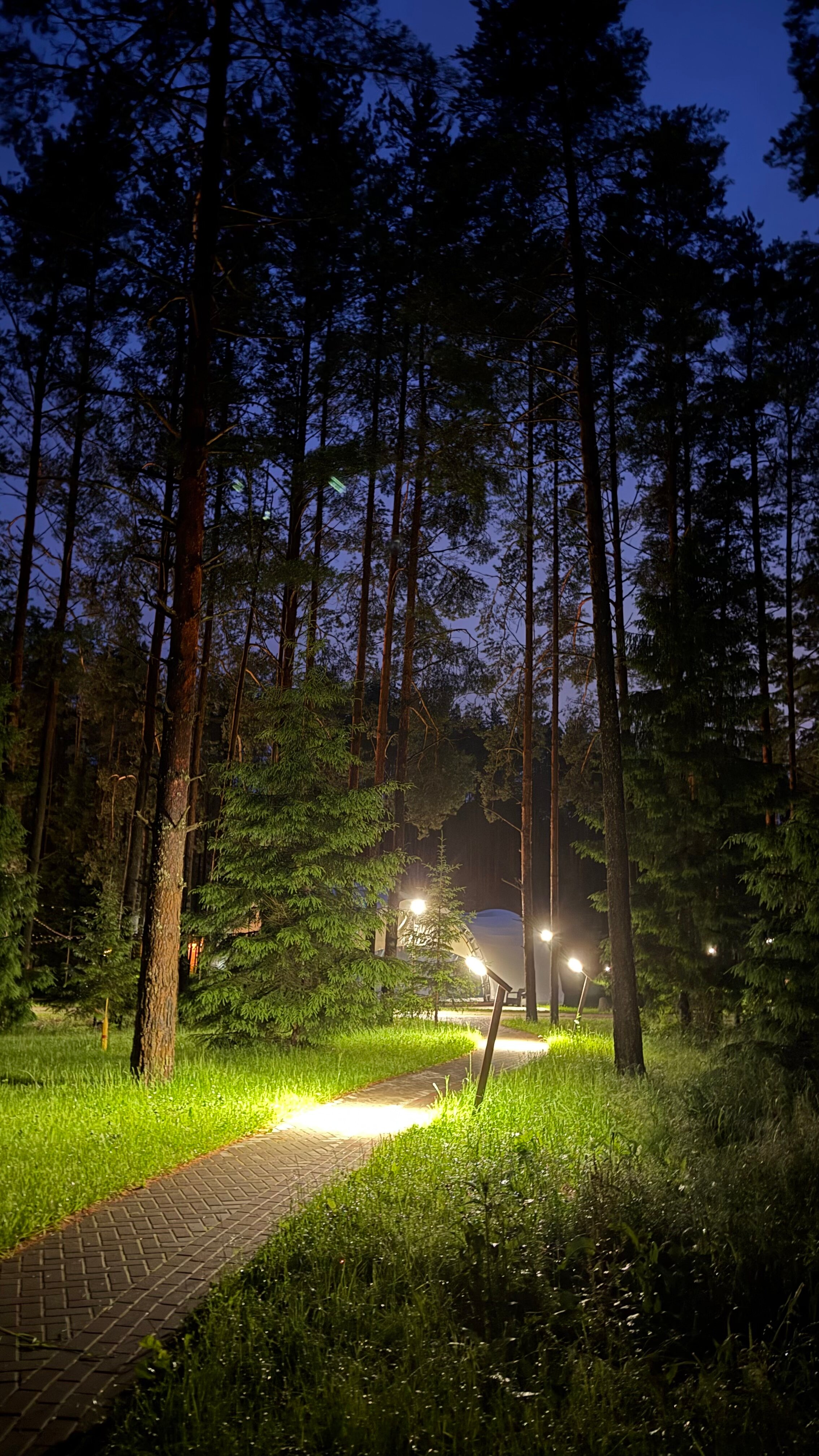 Фото ГлинтВуд