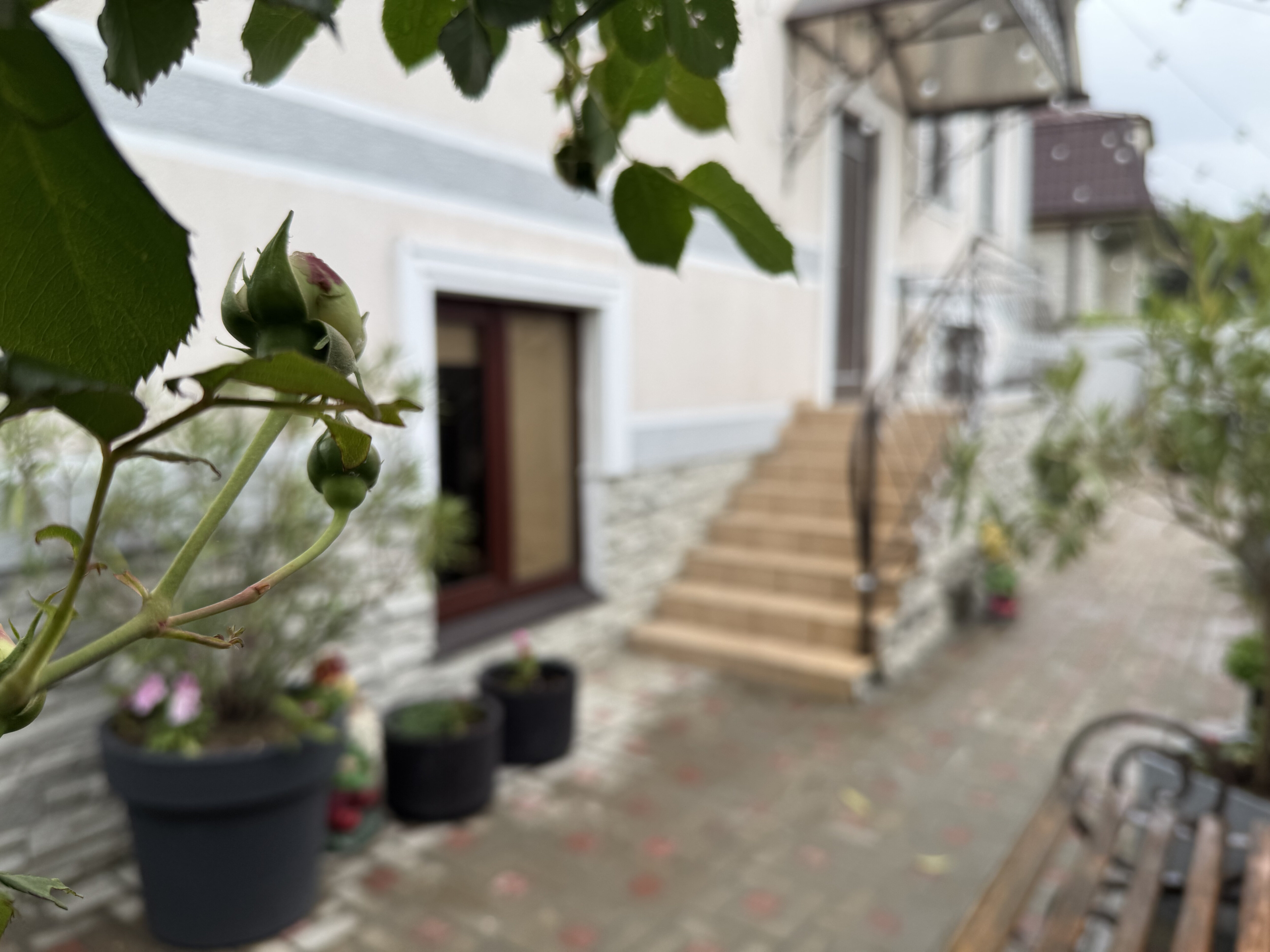 Фото Гостевой дом Дальний Восток