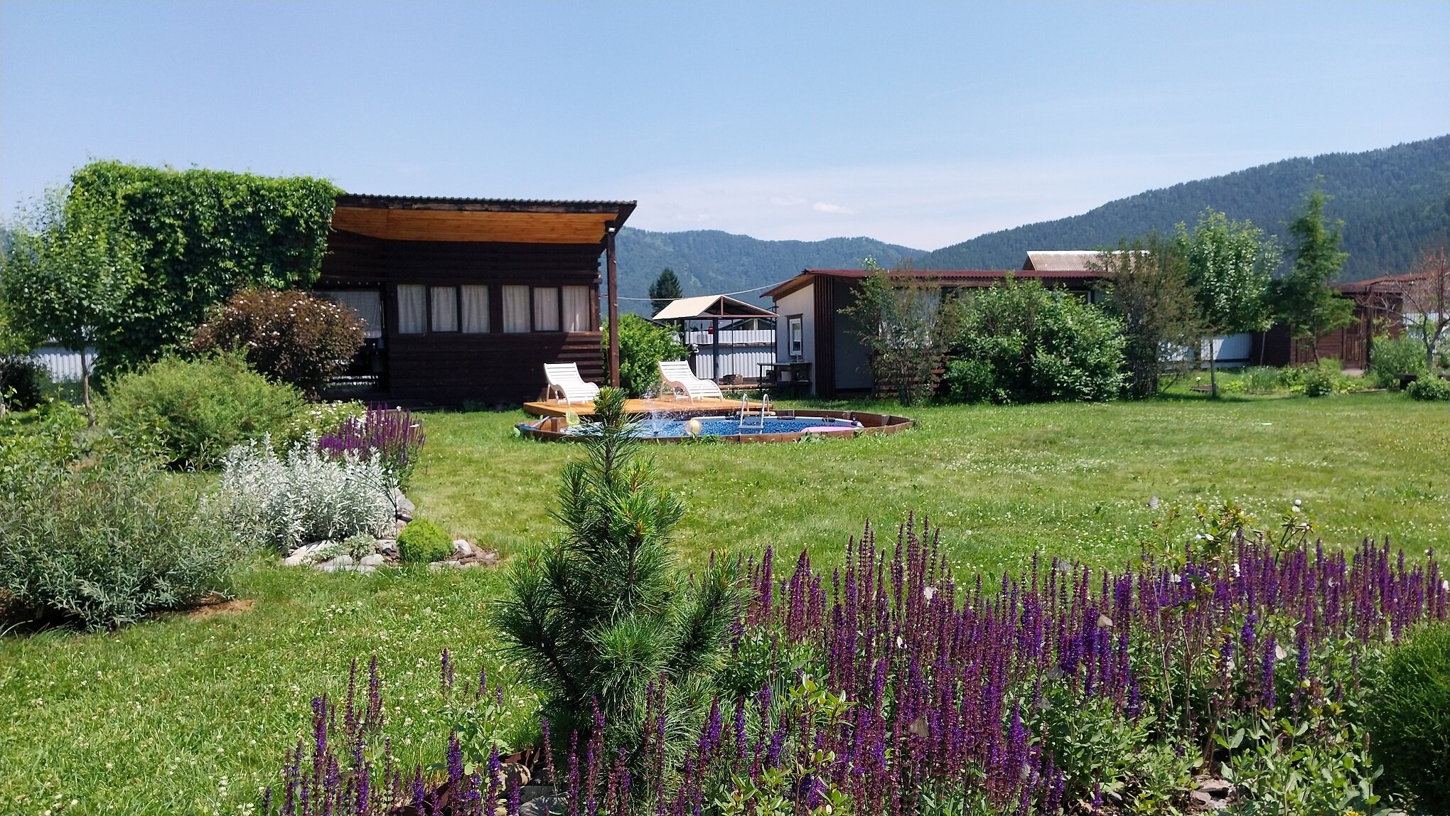 Фото Люминица