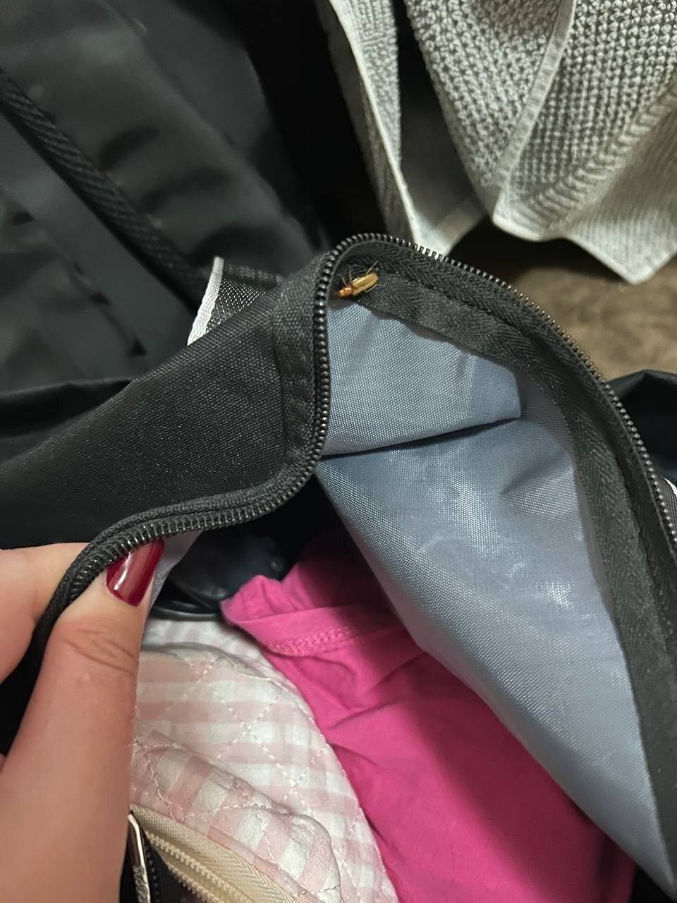 Фото Речная