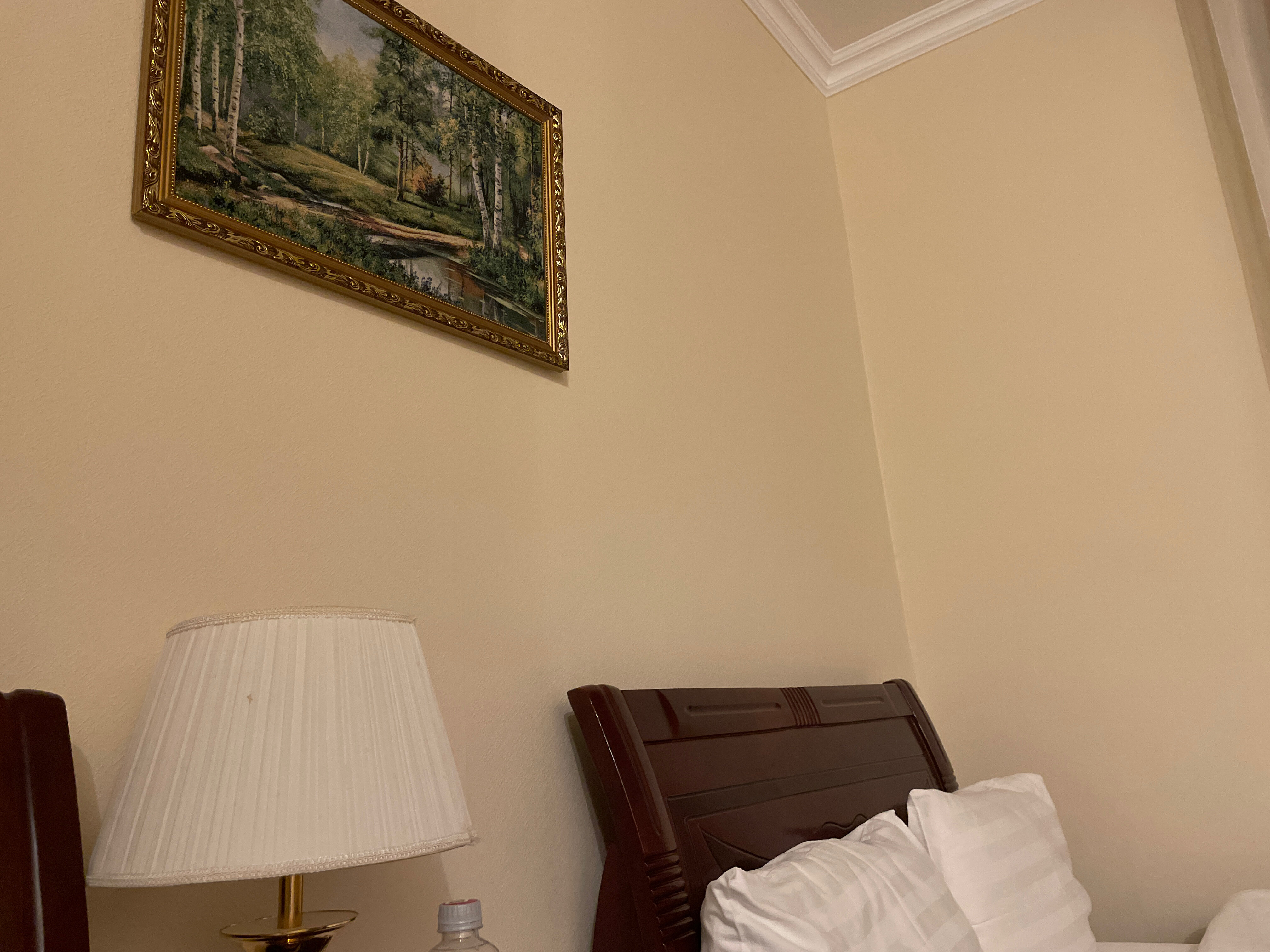 Фото Ленская