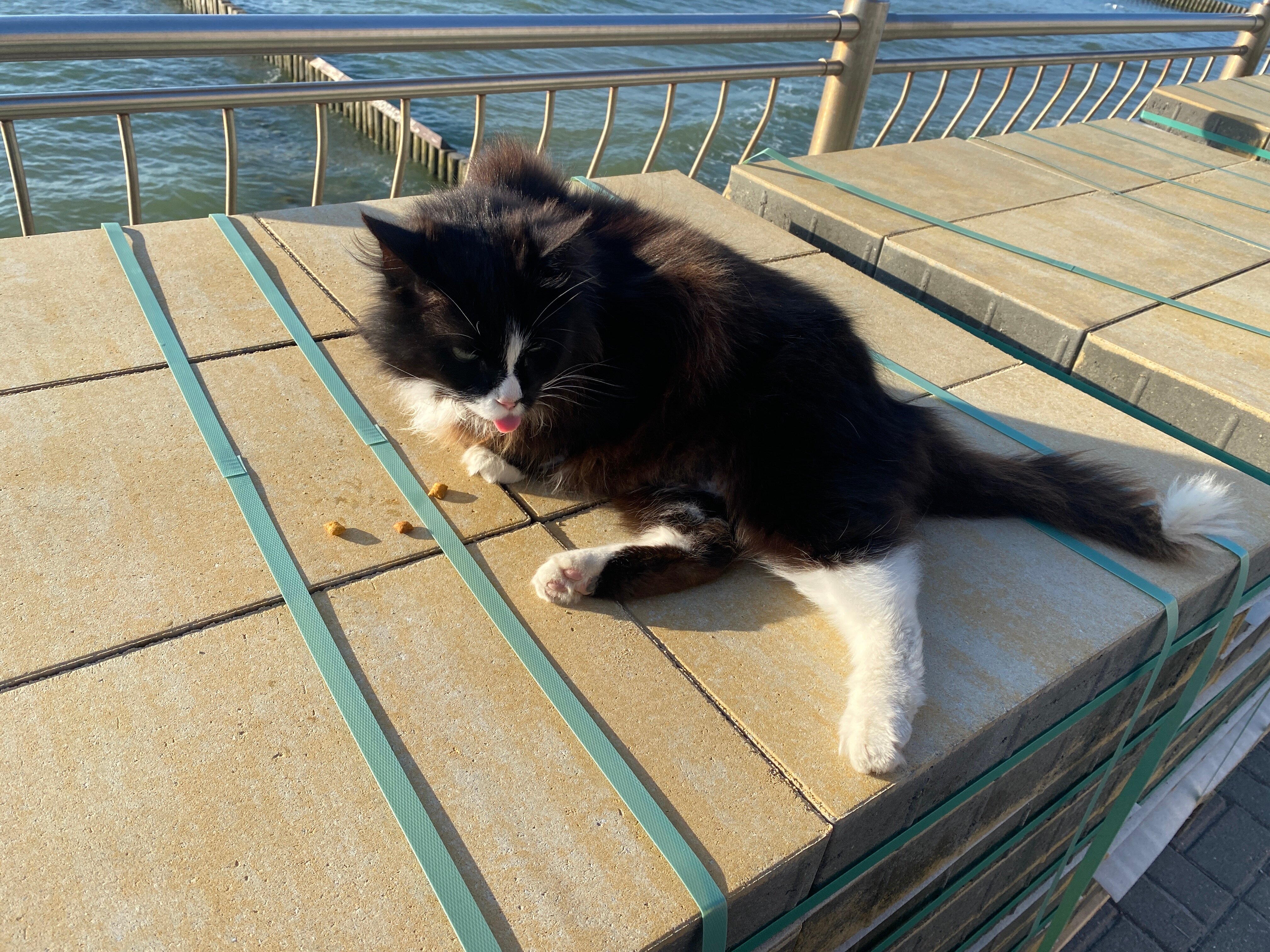 Фото Янтарный сезон