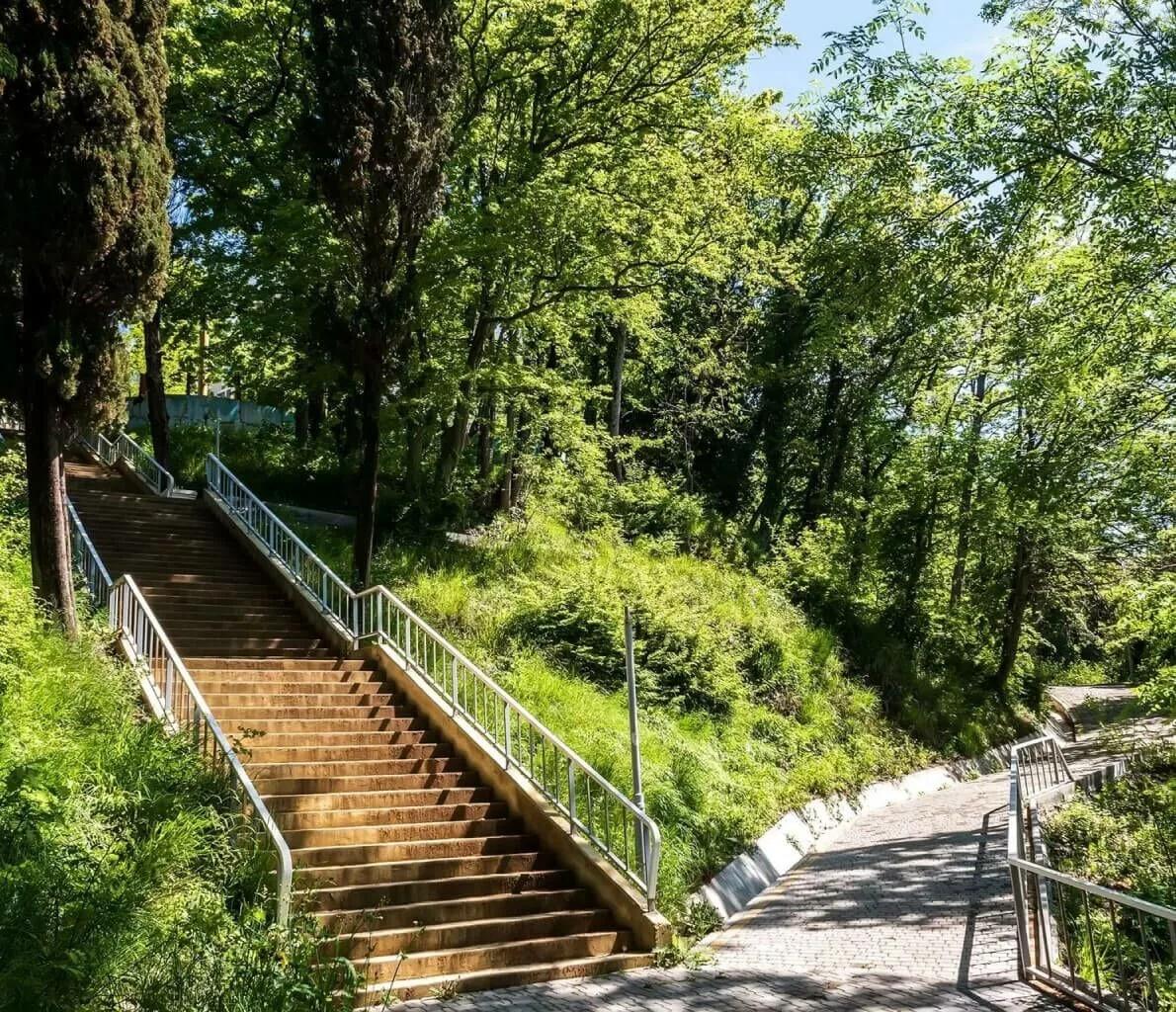 Фото Shepsi Family Club