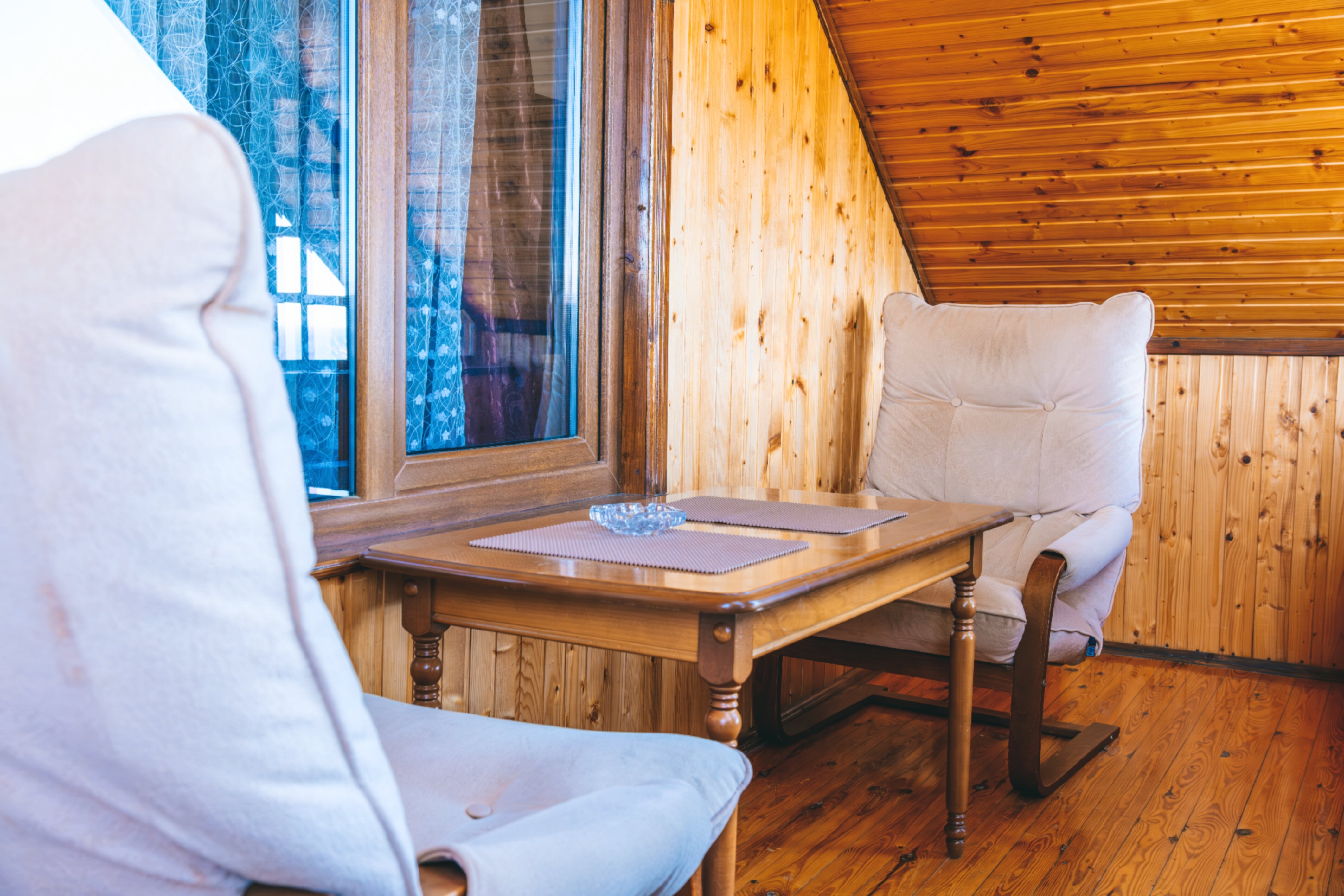 Фото Кипарис