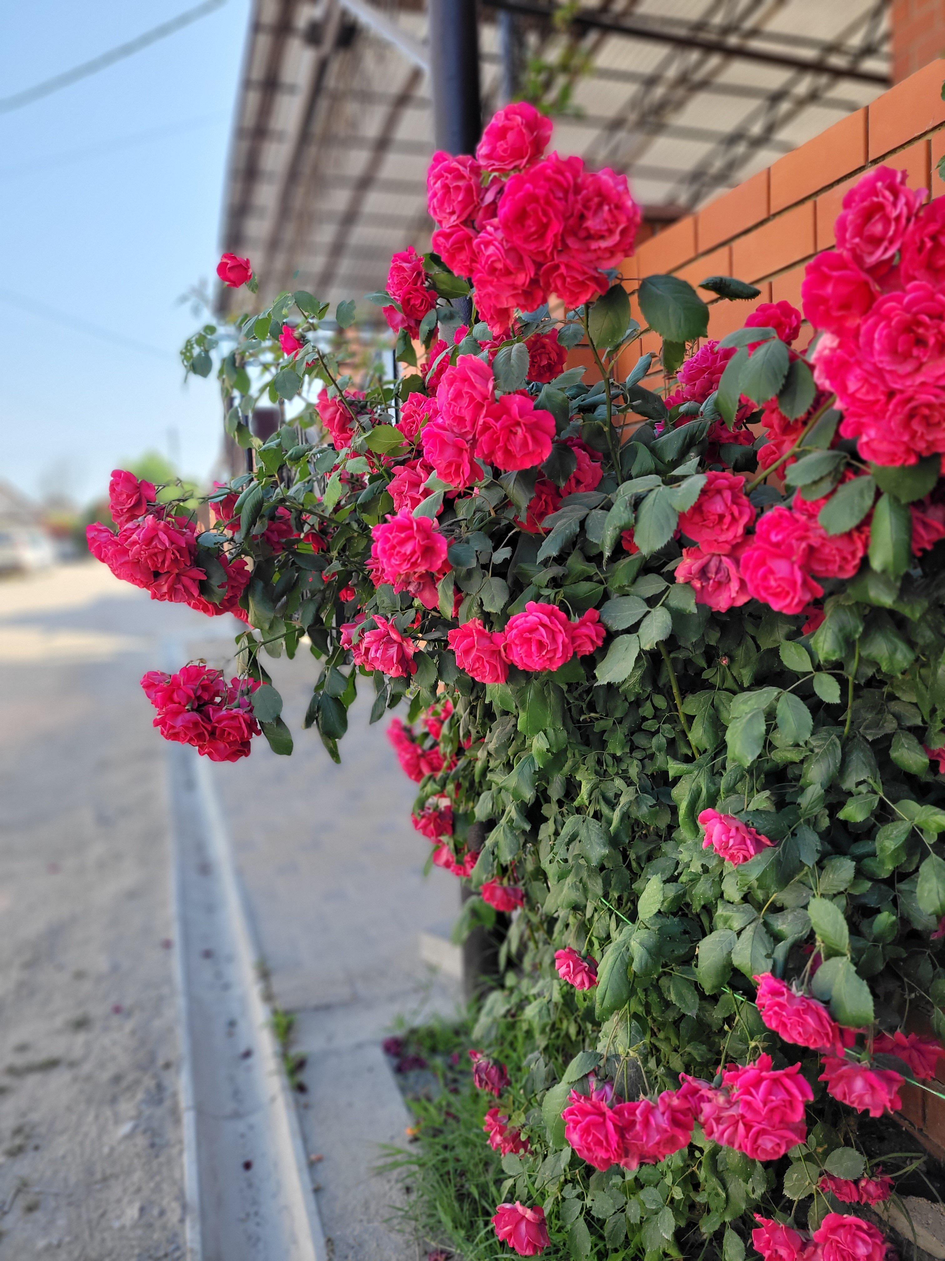 Фото Шоколад