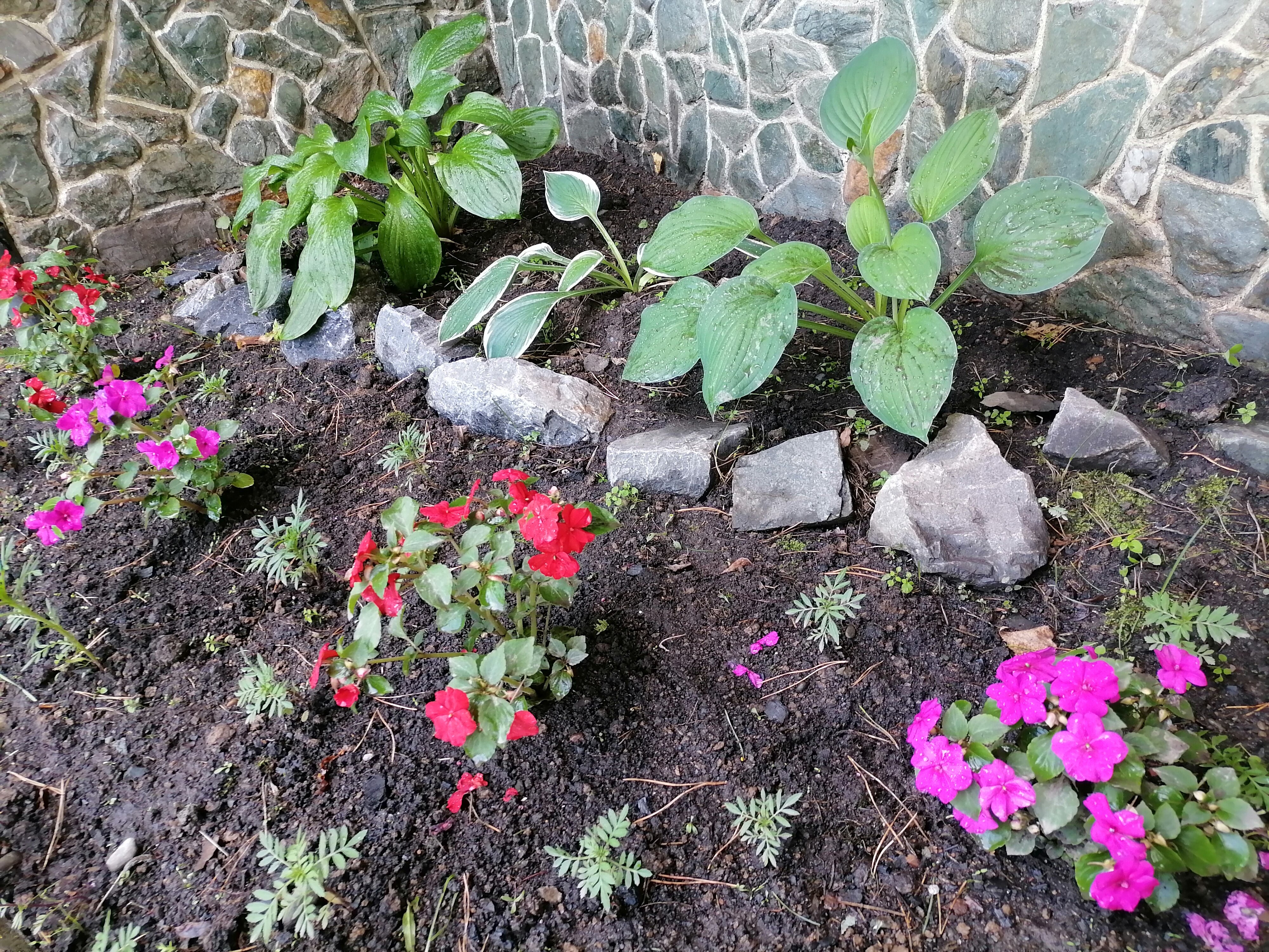 Фото Дыхание Природы