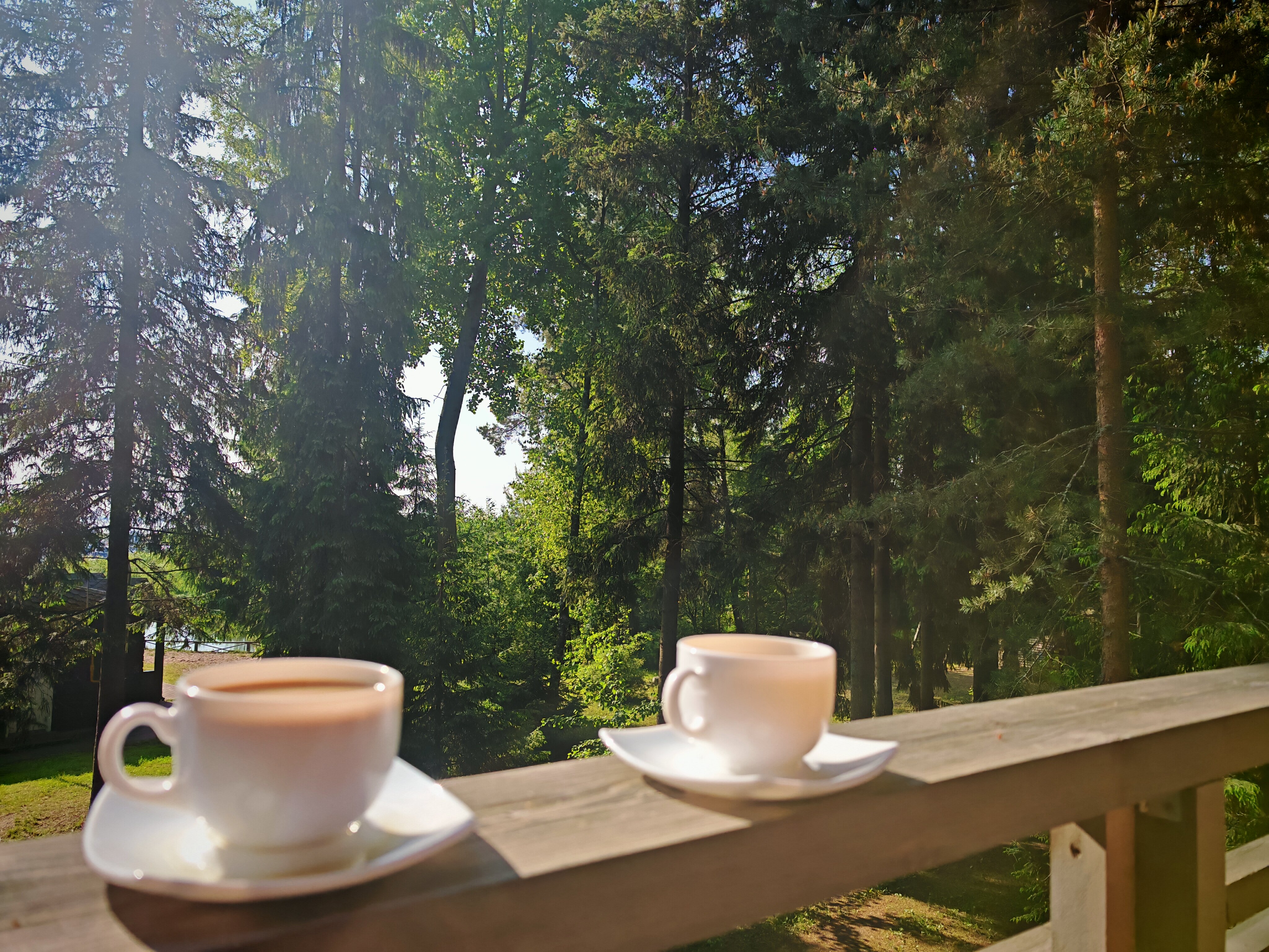 Фото Кошкинский фарватер