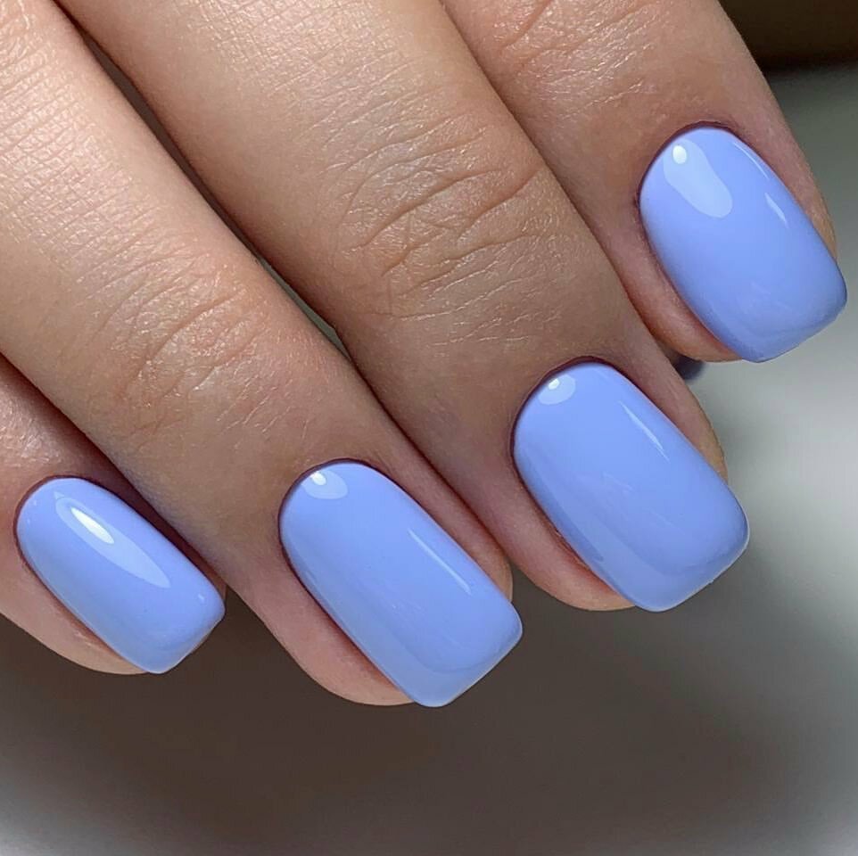 Information website Zapis, Chimkent, photo