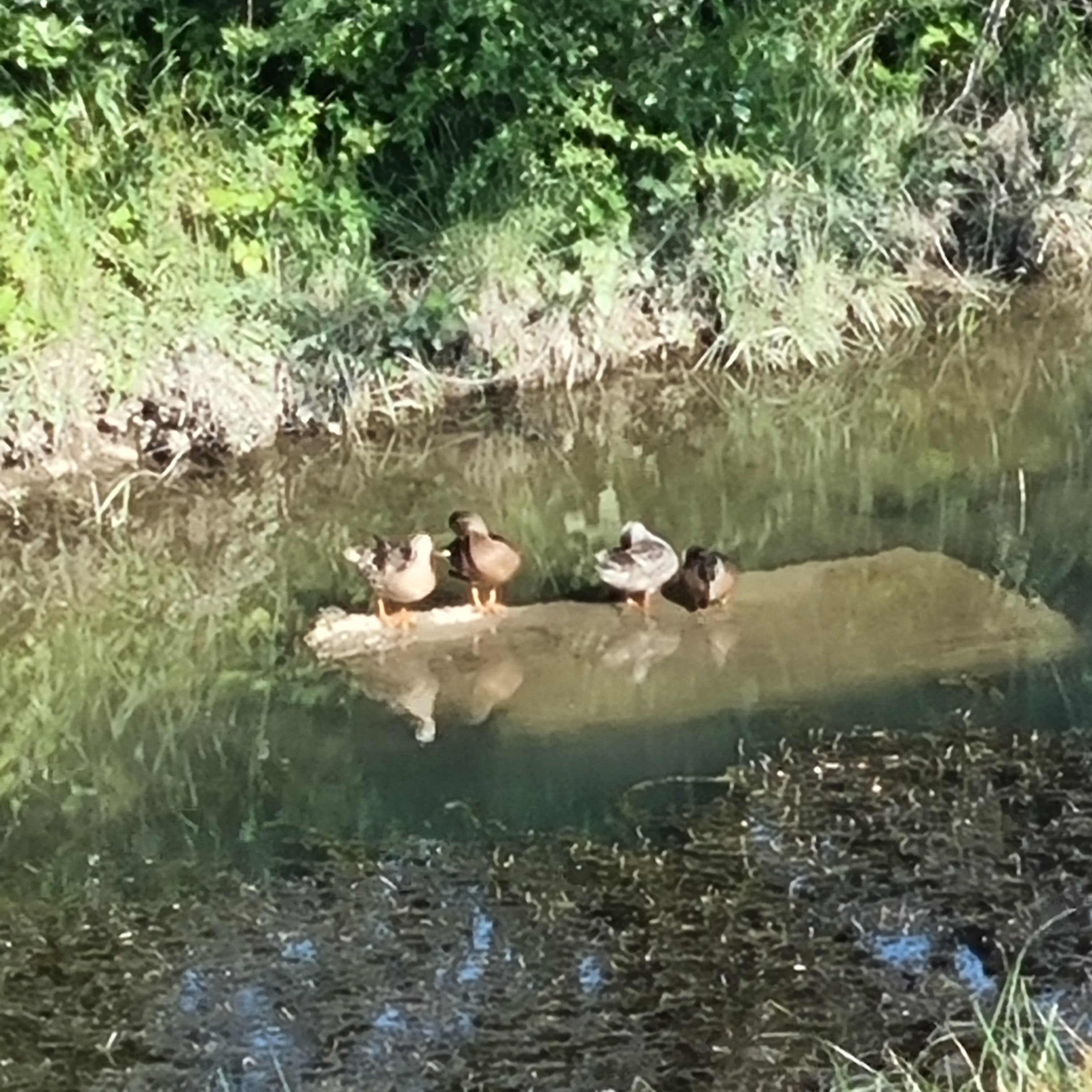 Фото Жемчужина Сулака