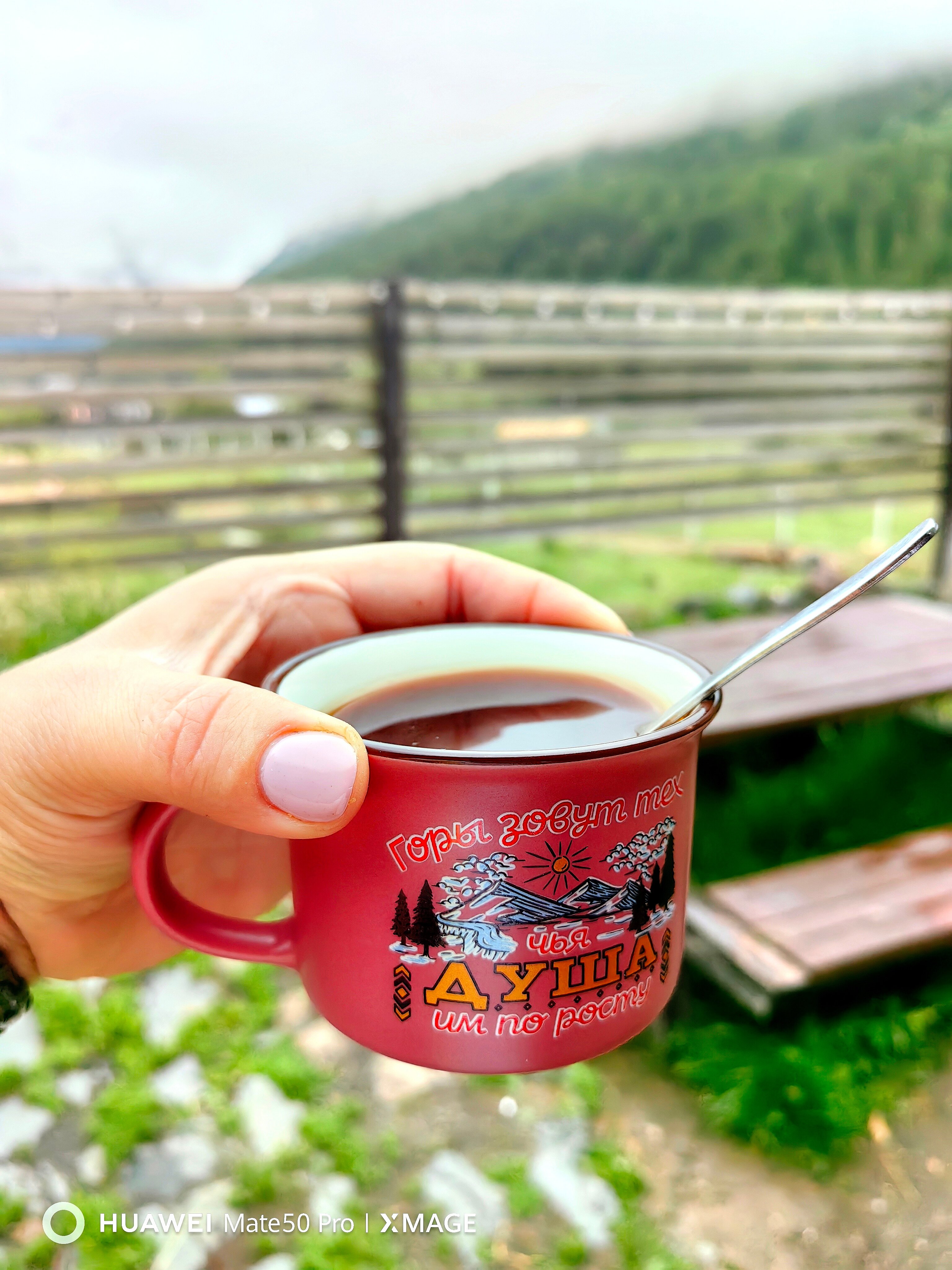 Фото Блэк Поинт