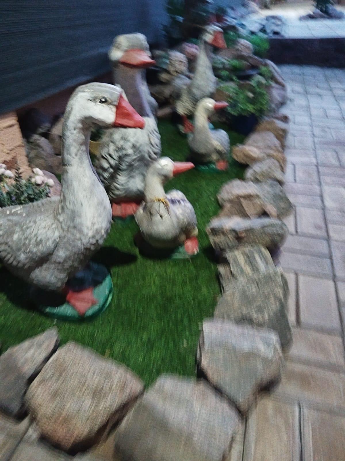 Фото Гостевой дом Калинина 20