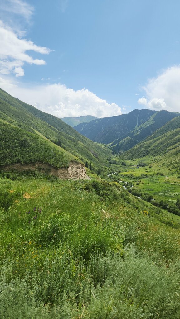 Қорық Orman sharýashylyq, Сарқанд, фото