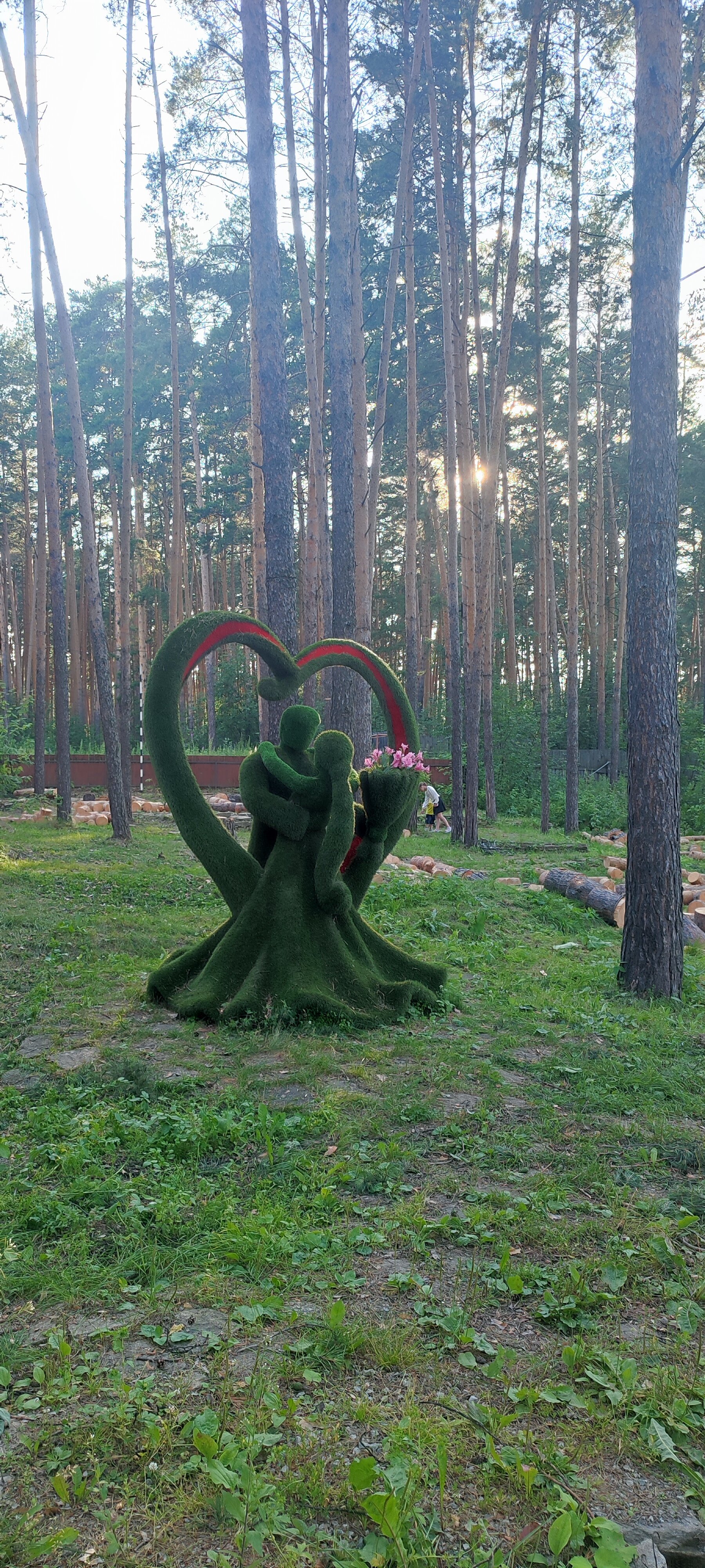 Фото Лесная поляна