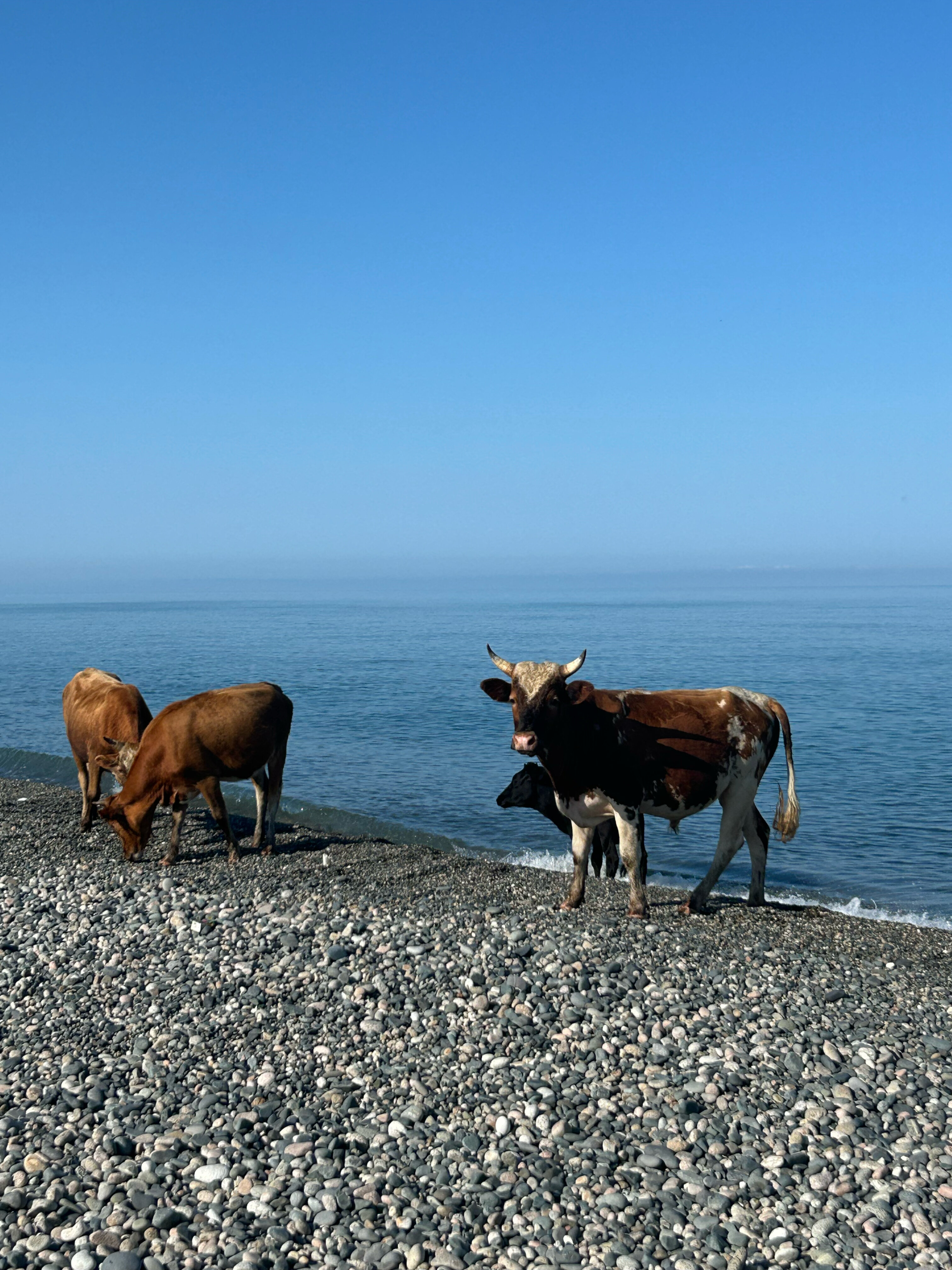 Фото Aqua resort Dacha