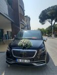 Ese VIP Transfer (İzmir, Güzelbahçe, Yalı Mah., 224 Sok.), travel agency