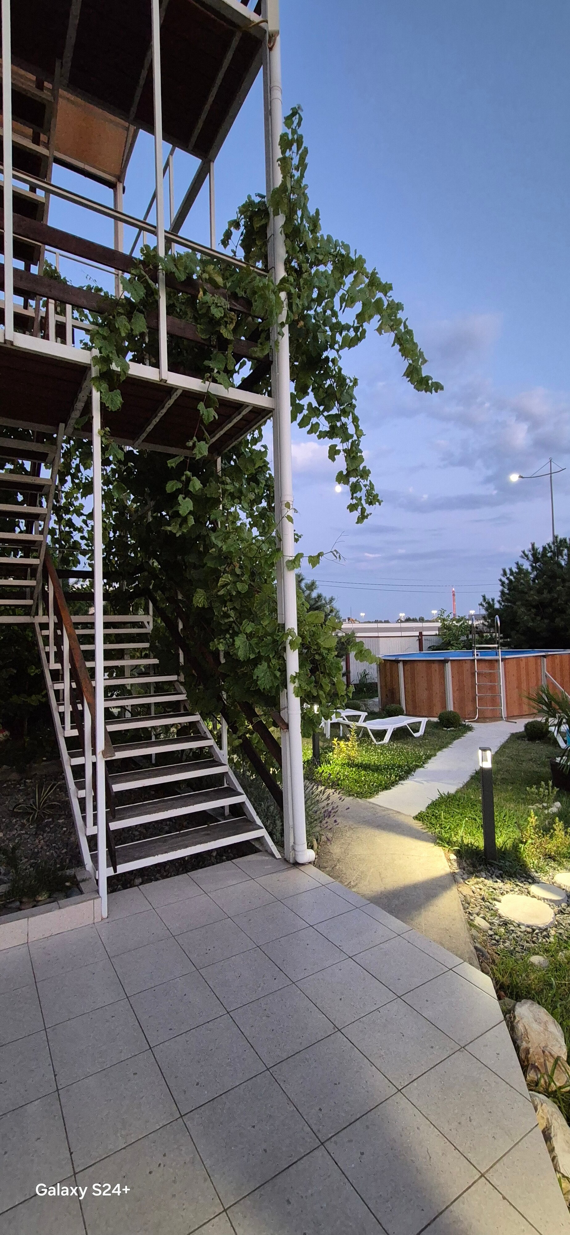 Фото Подсолнух Village