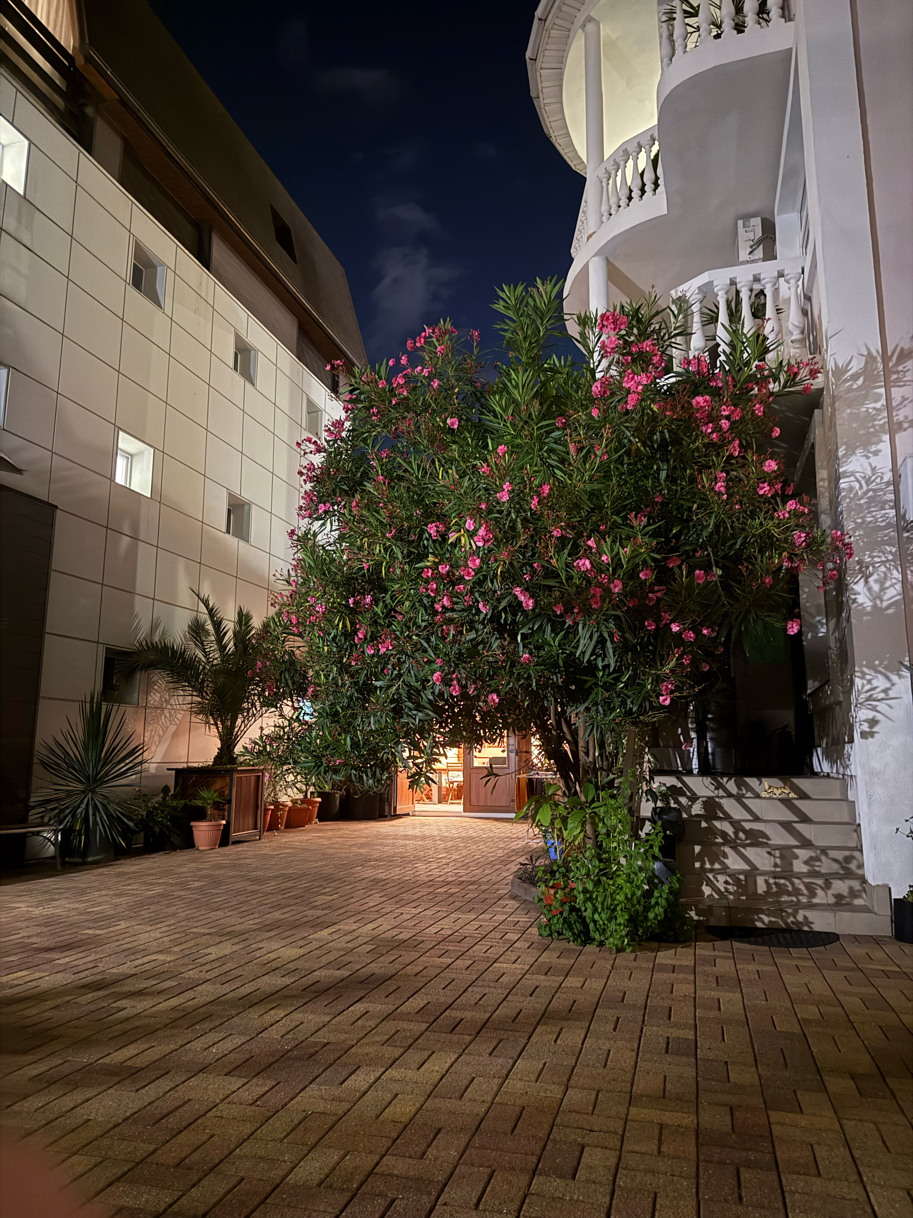 Фото Фигурный